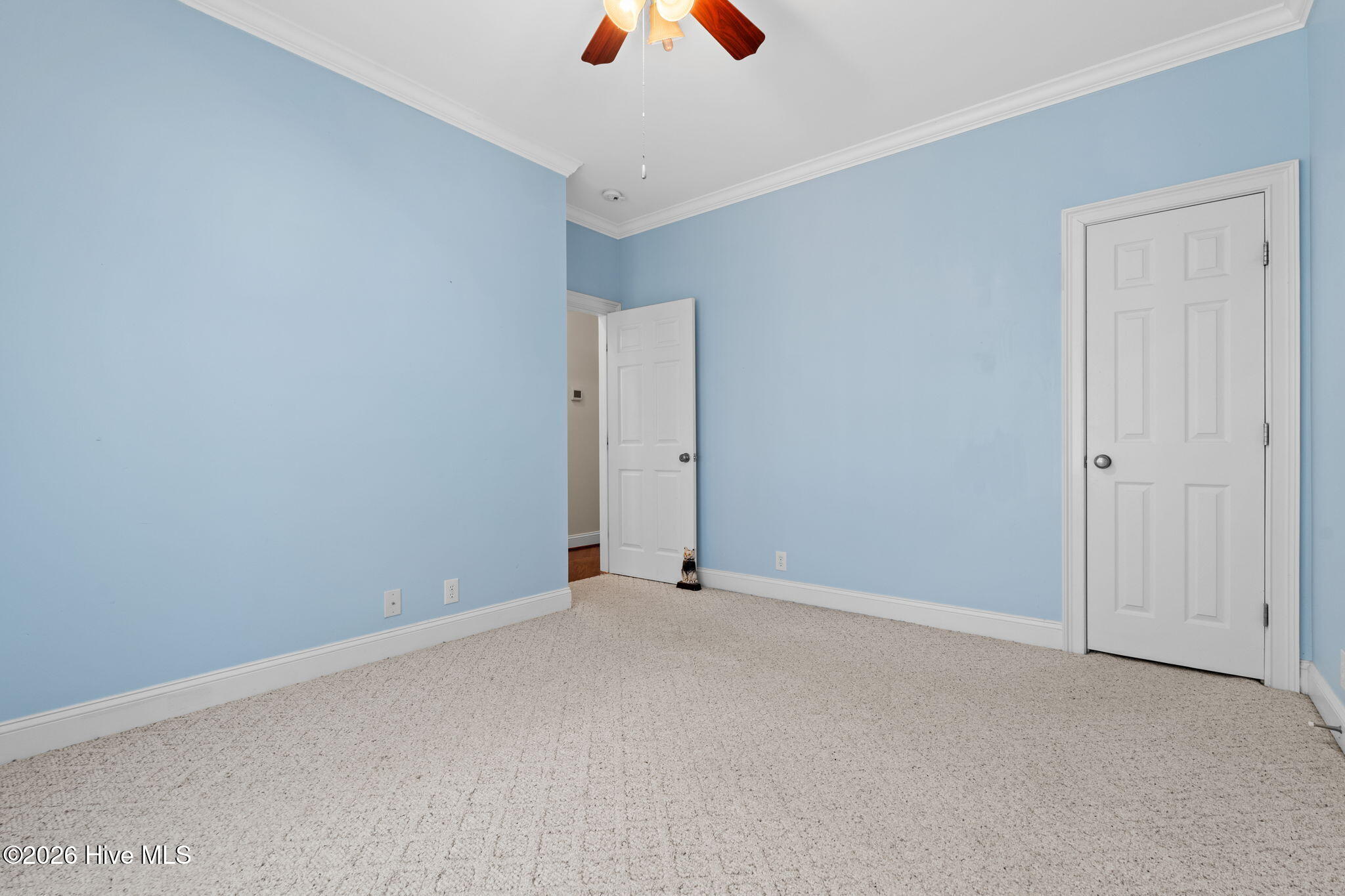 100569598 | Photo 30