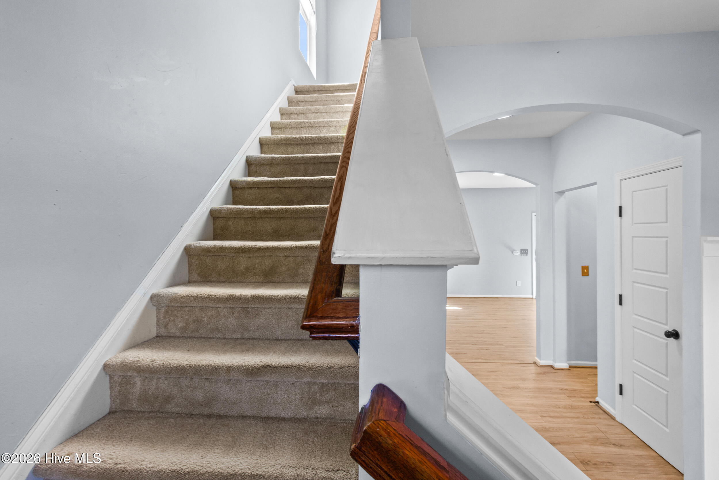 100554579 | Photo 16