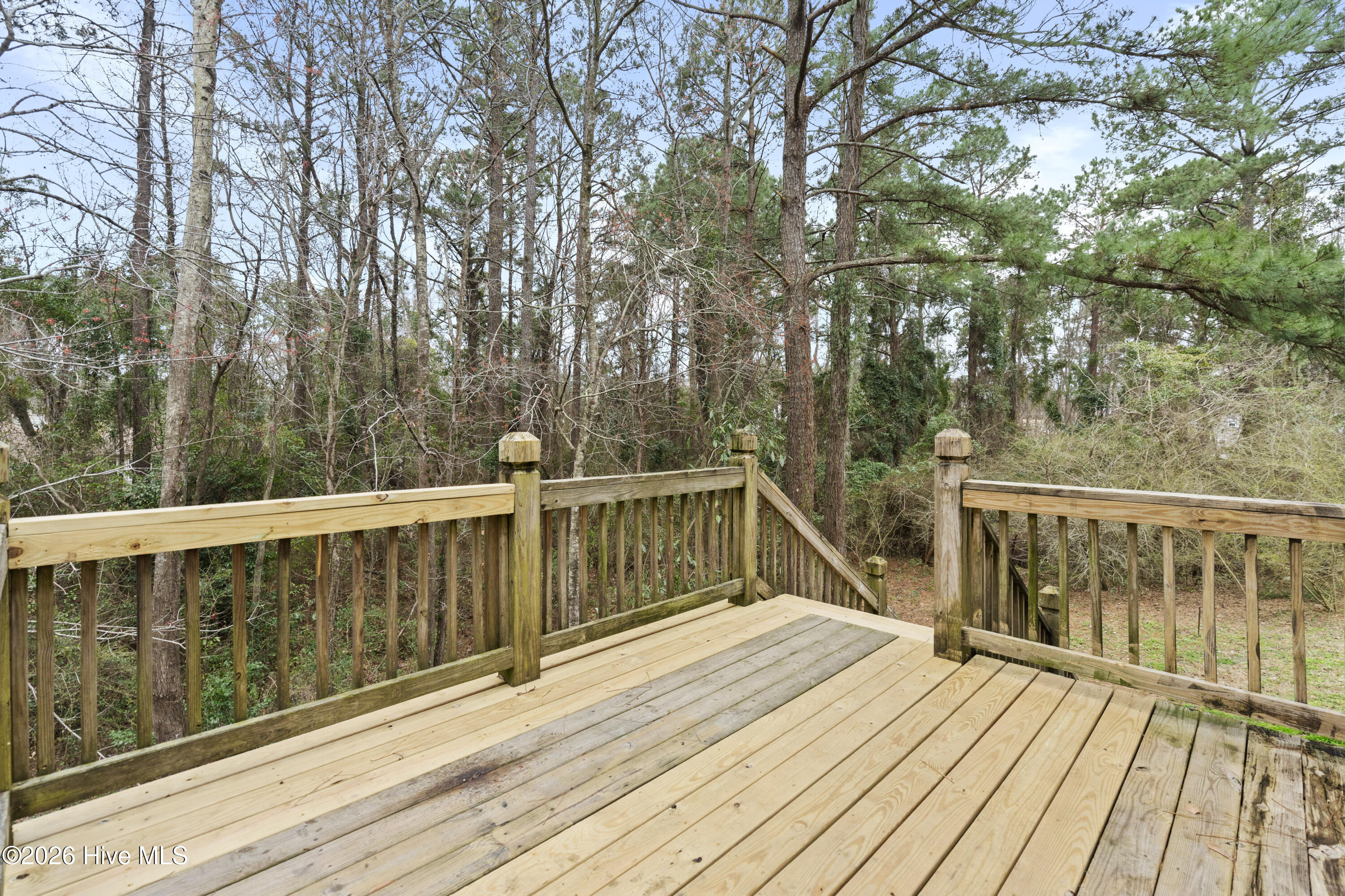 100557847 | Photo 33