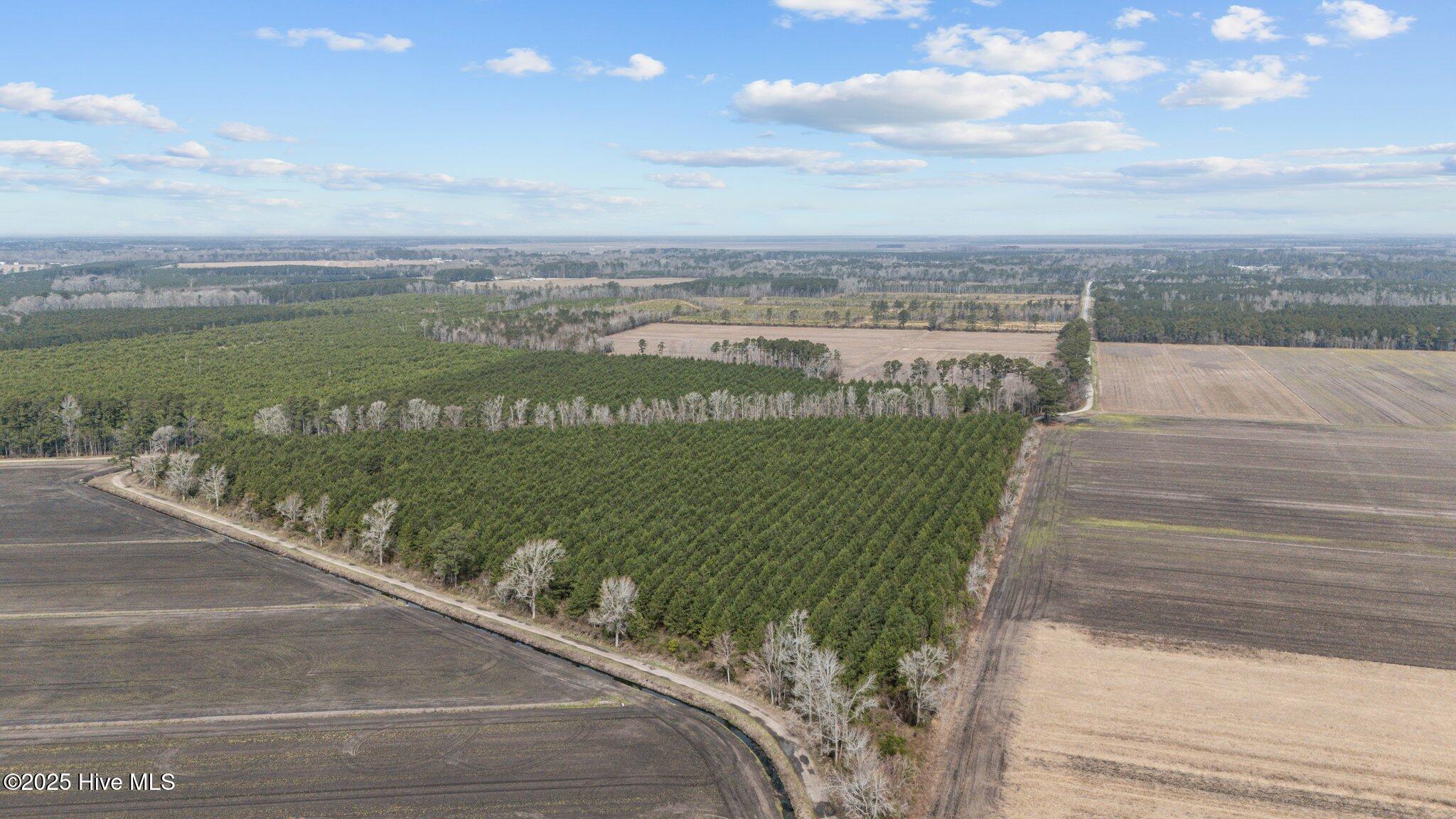 6-web-or-mls-DJI_20250313115132_0037_D