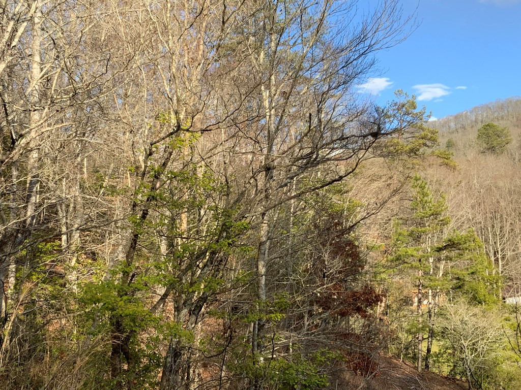 Exterior photo of Lot 3 3 Ivy Log Road, Murphy, NC 28906. MLS: 98544006