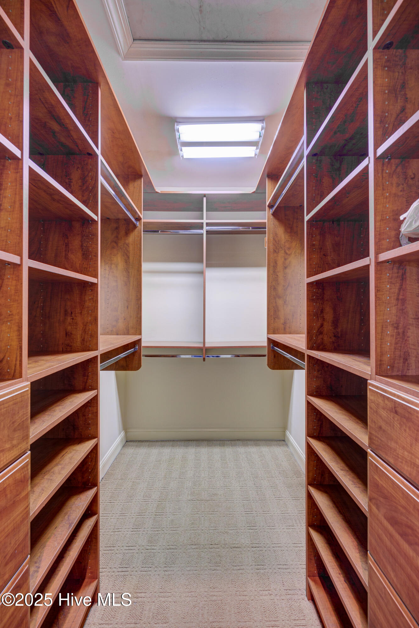 100524082 | Photo 24