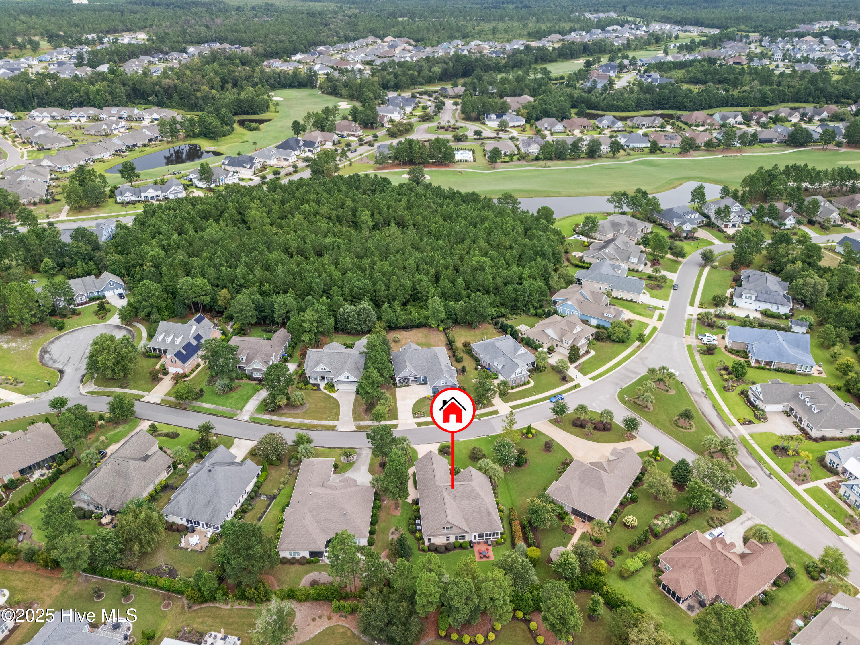 100525197 | Photo 62