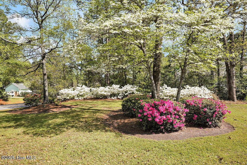 100567703 | Photo 38