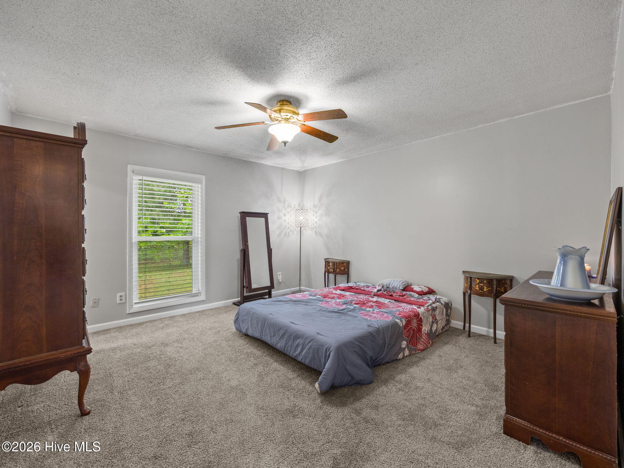 100570195 | Photo 26