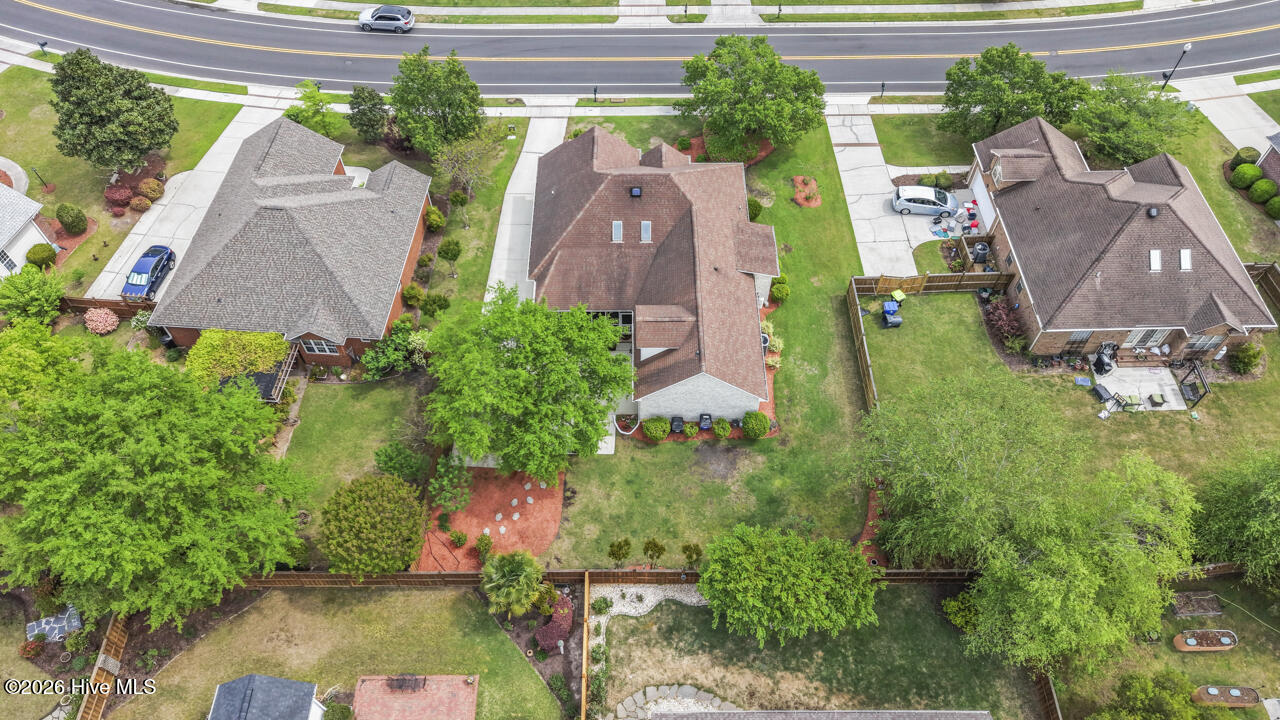 100554989 | Photo 74