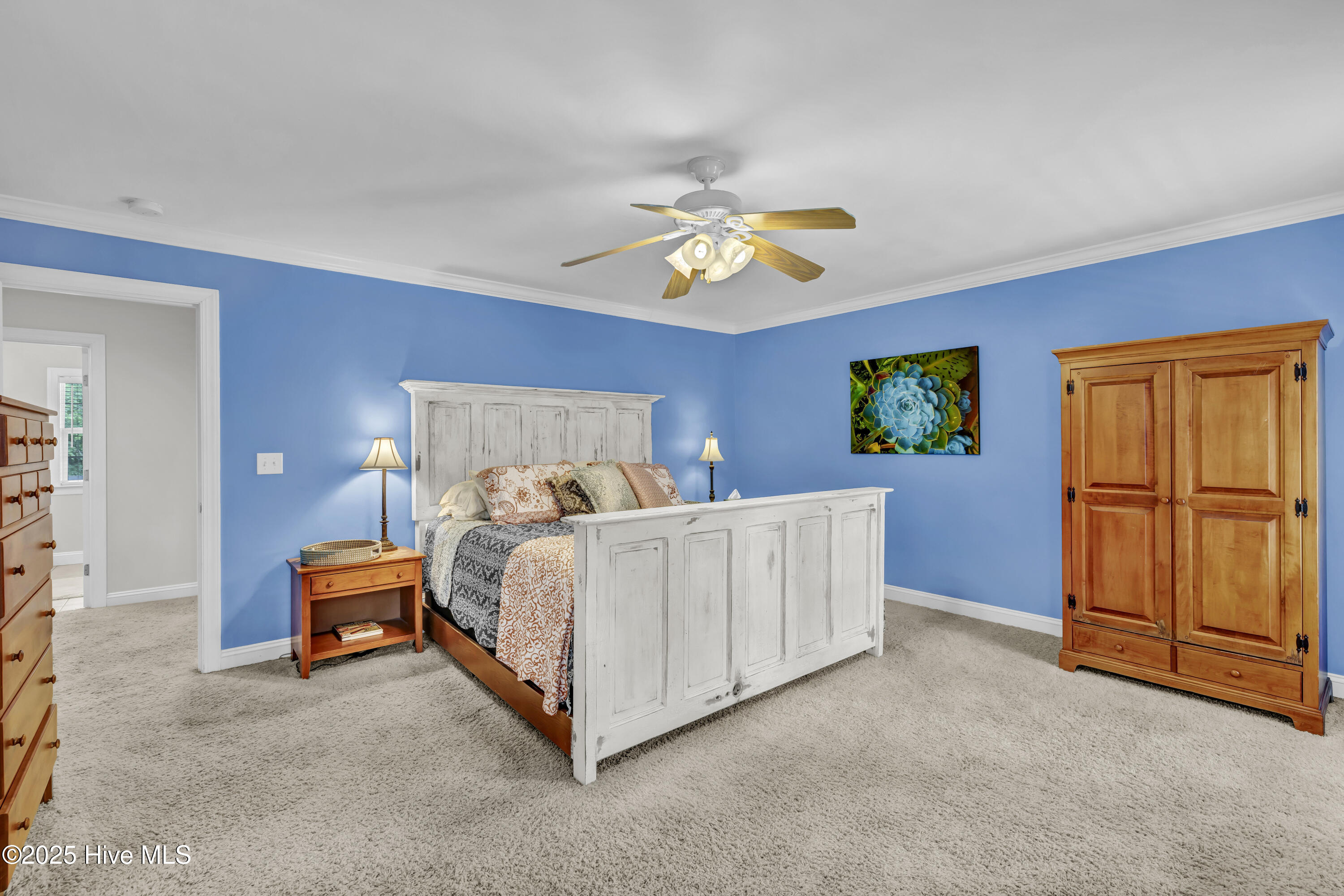 100533968 | Photo 24