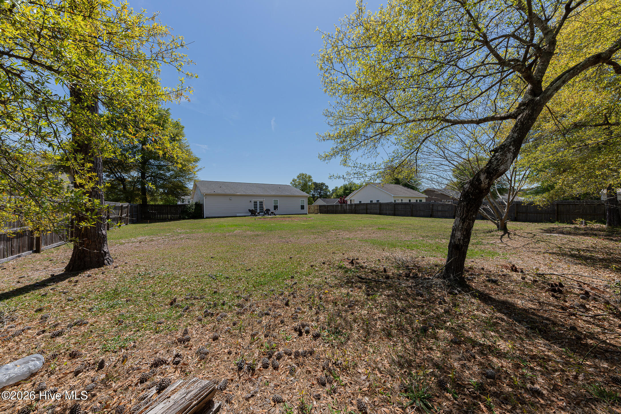 100566582 | Photo 36