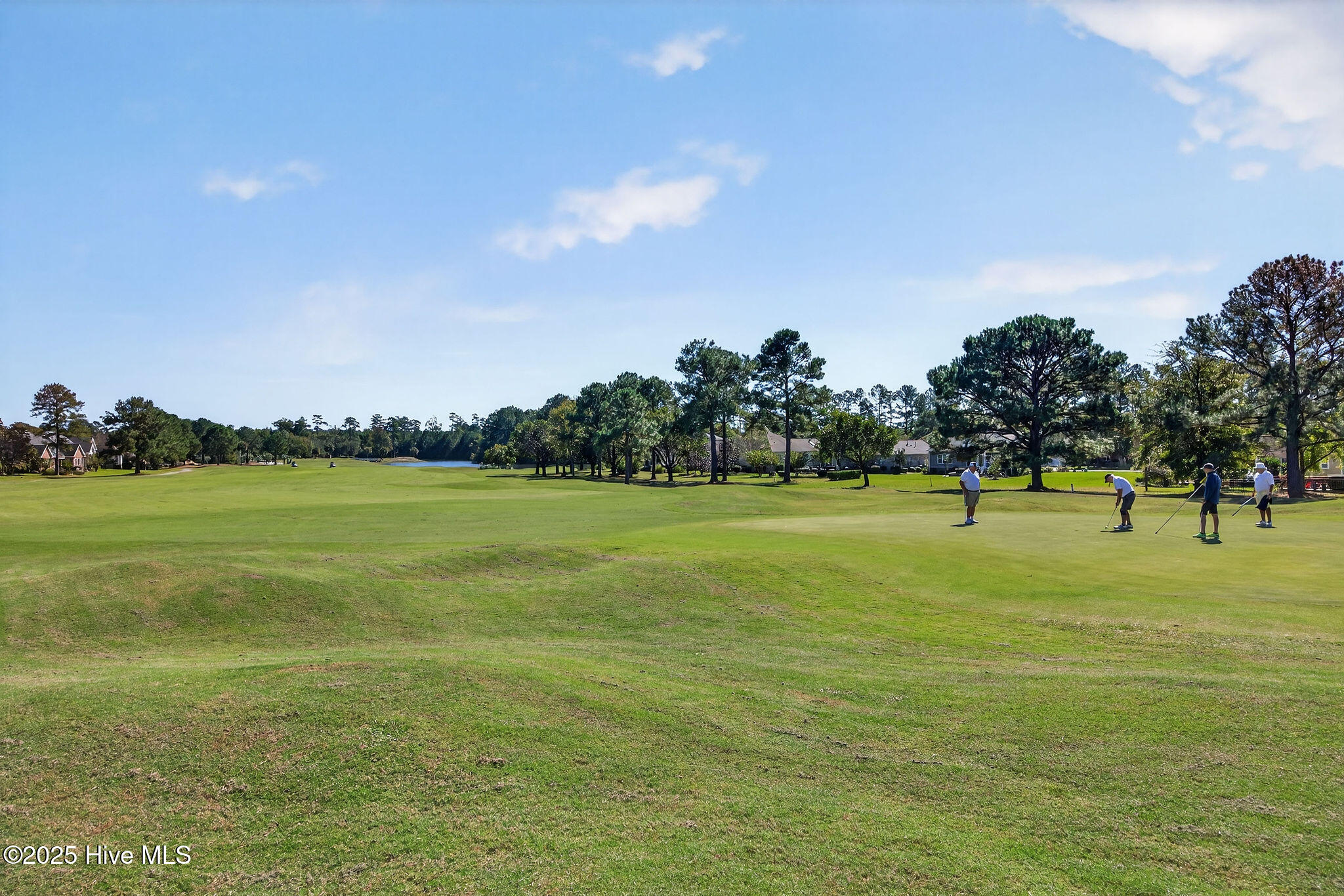 100537047 | Photo 57