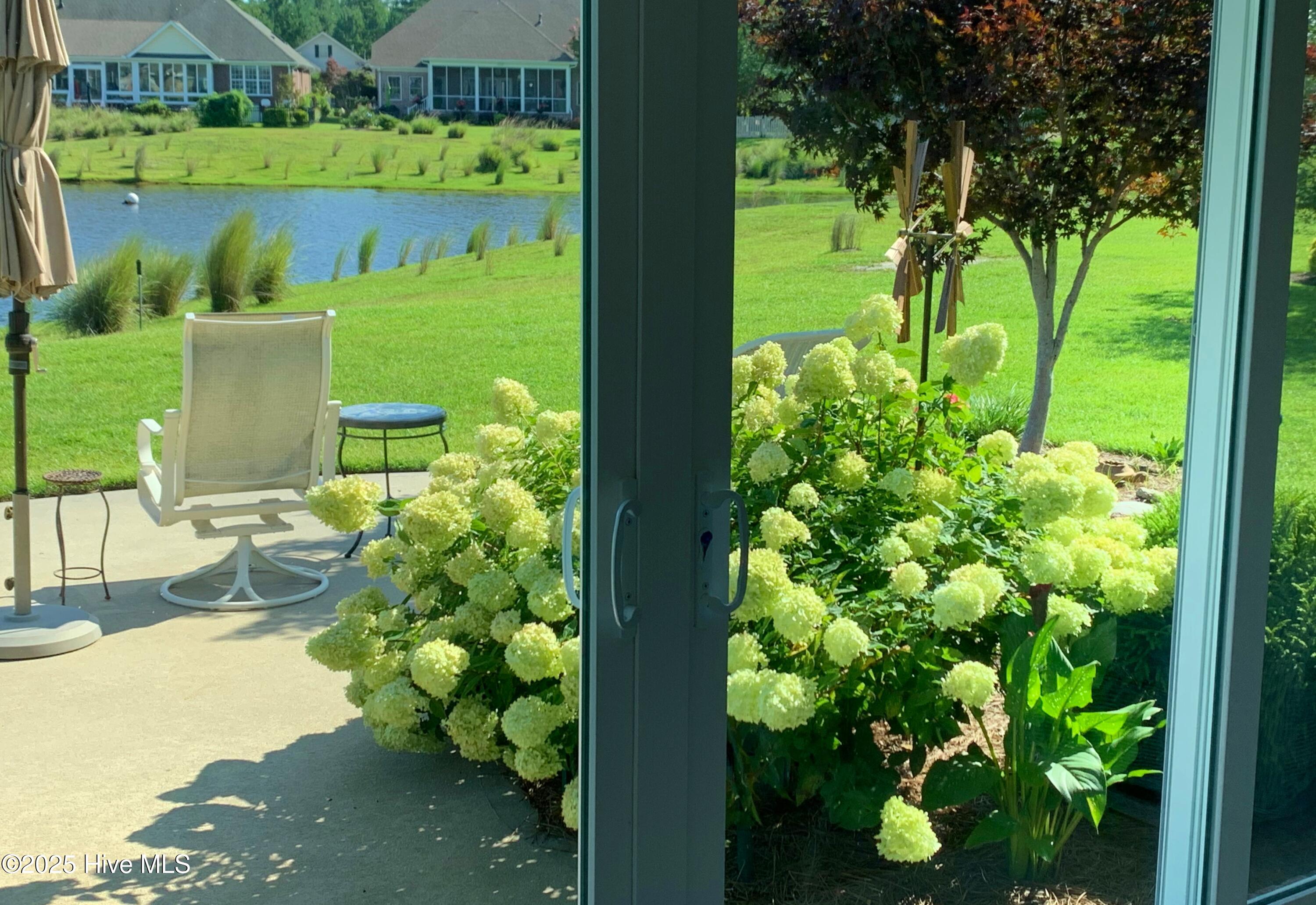 100534763 | Photo 40