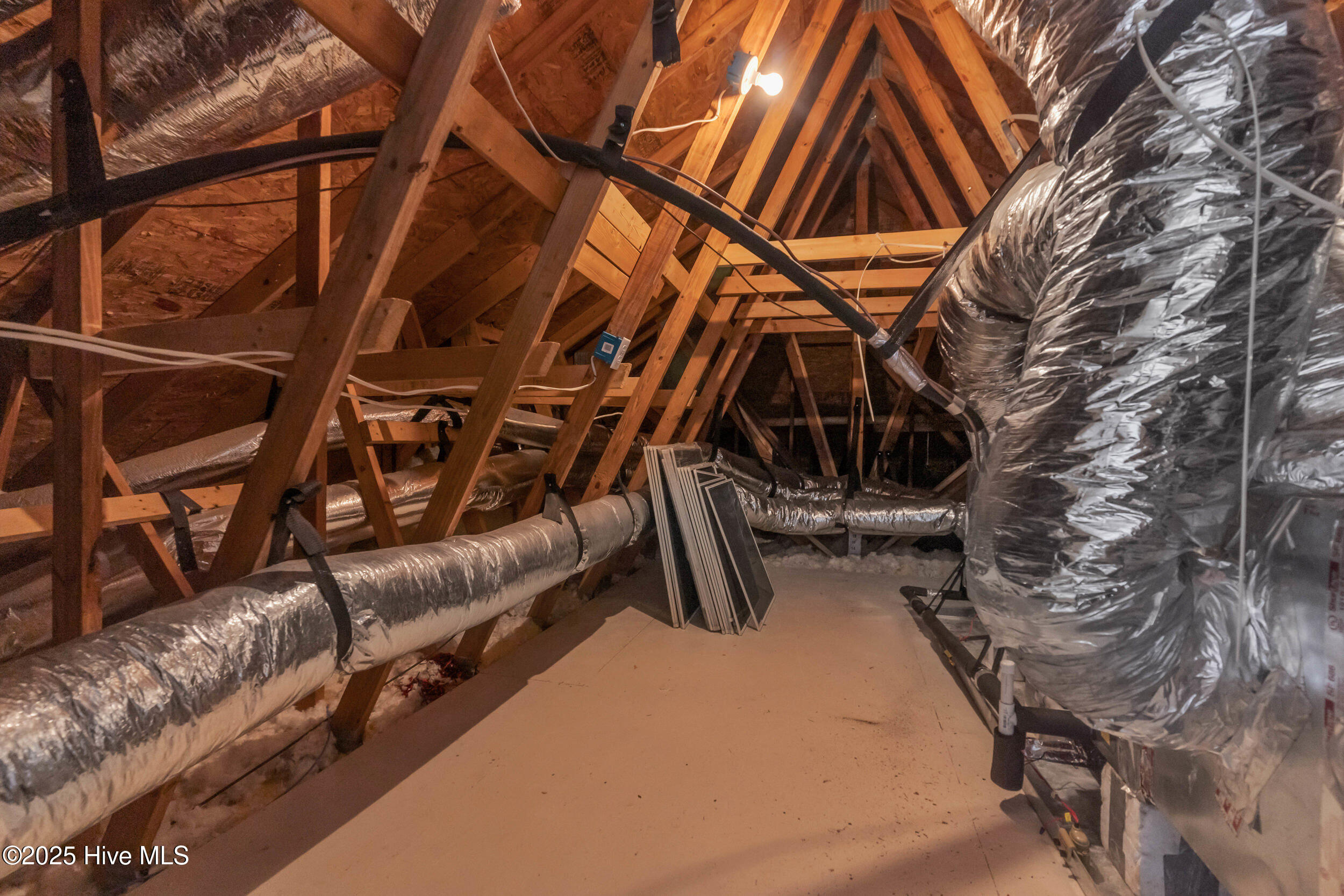 100543526 | Photo 31