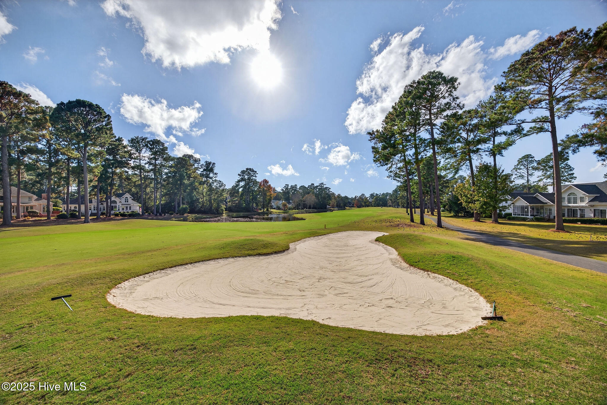 100541027 | Photo 49