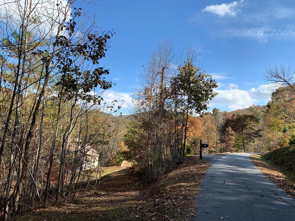 25&26 Mountain Knoll, Warne, North Carolina, 0 ,For sale,Mountain Knoll,98543661 25&26 Mountain Knoll, Warne, North Carolina, 0 ,For sale,Mountain Knoll,98543661