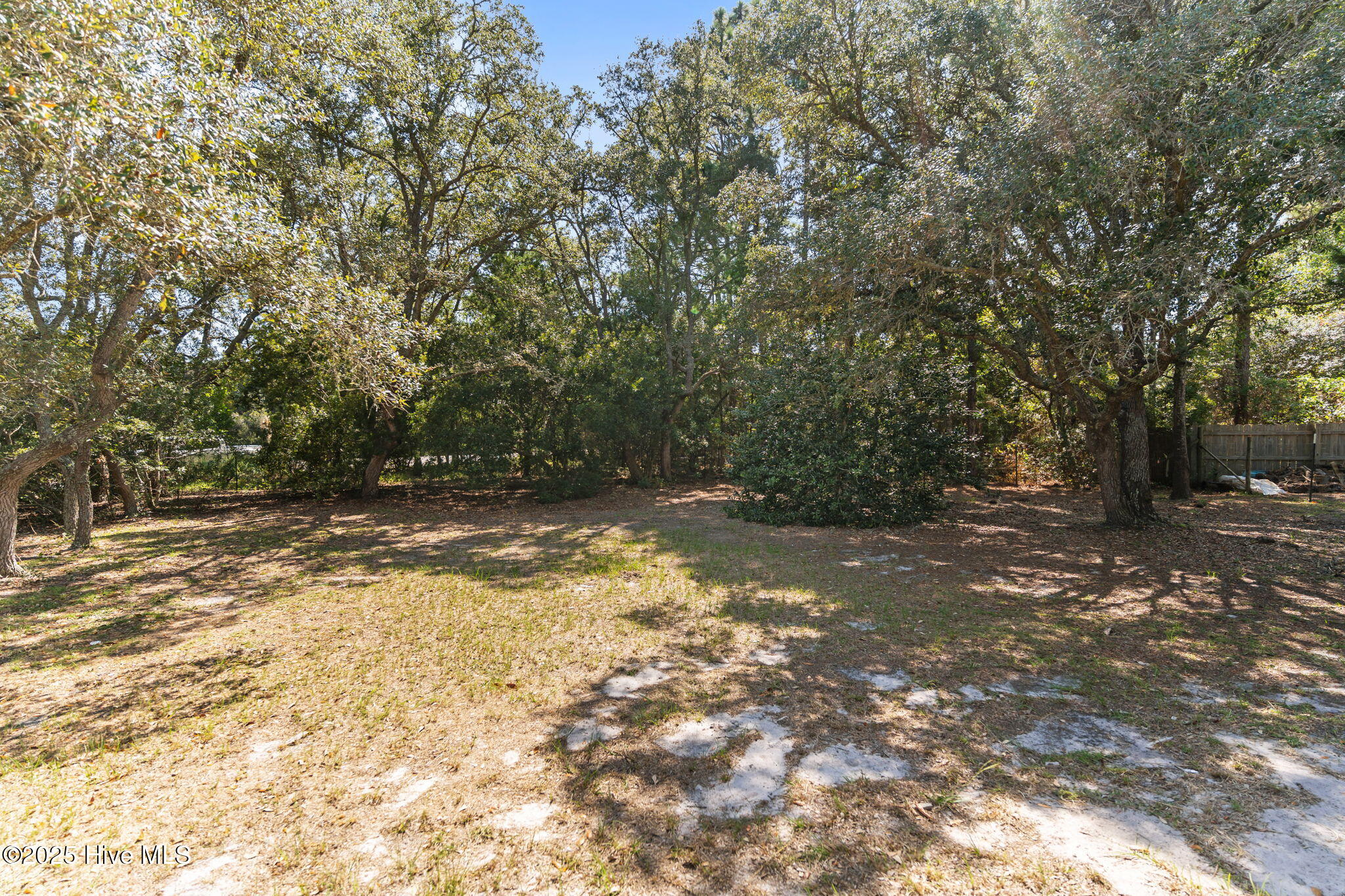 100531934 | Photo 45