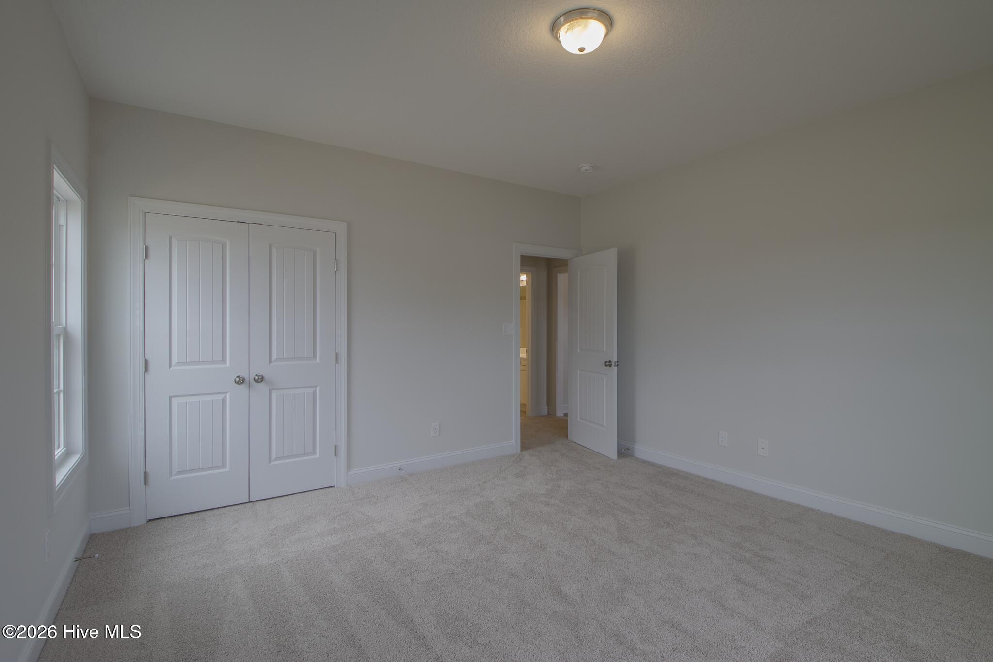 100497435 | Photo 23