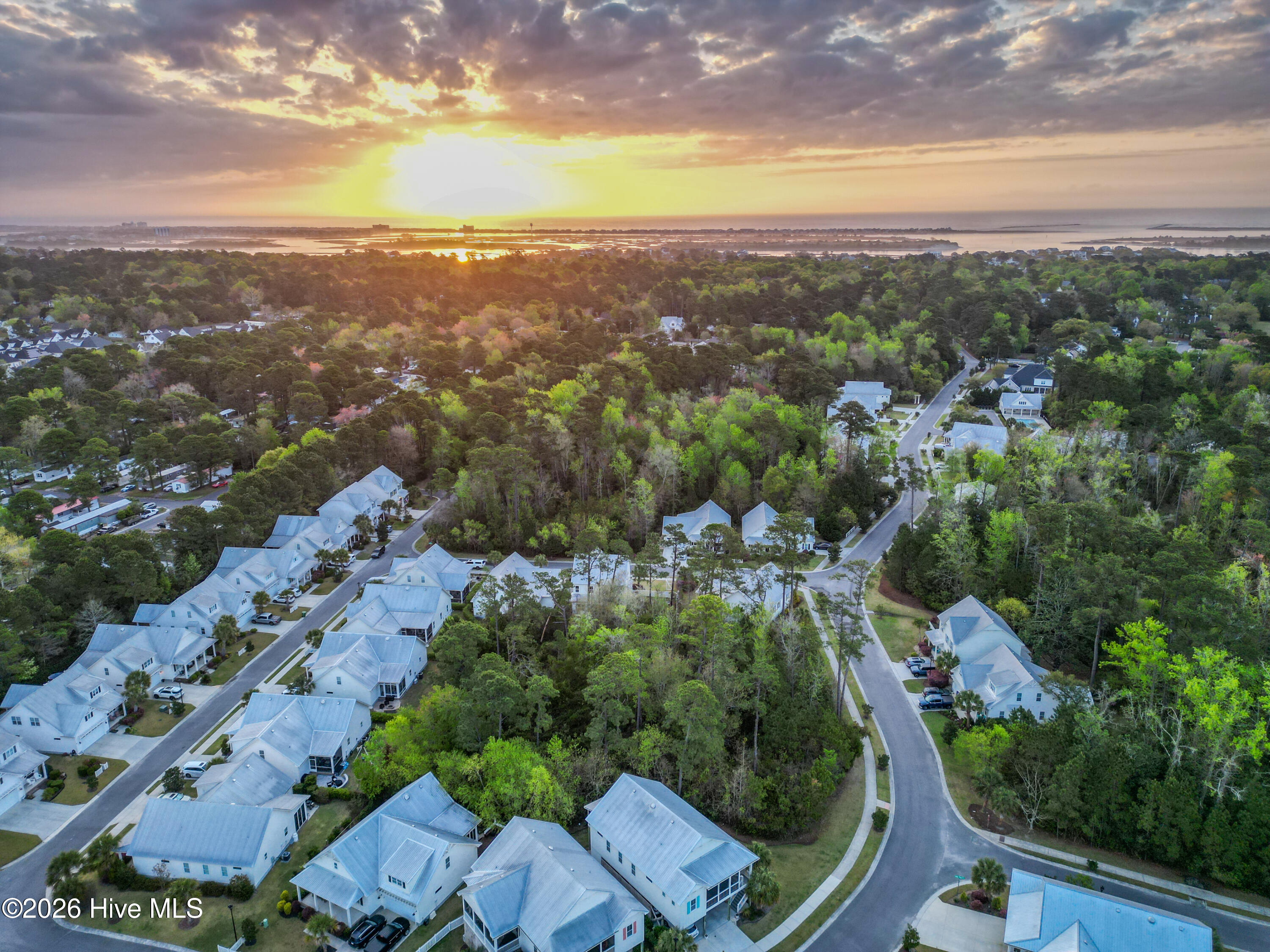 100564724 | Photo 33