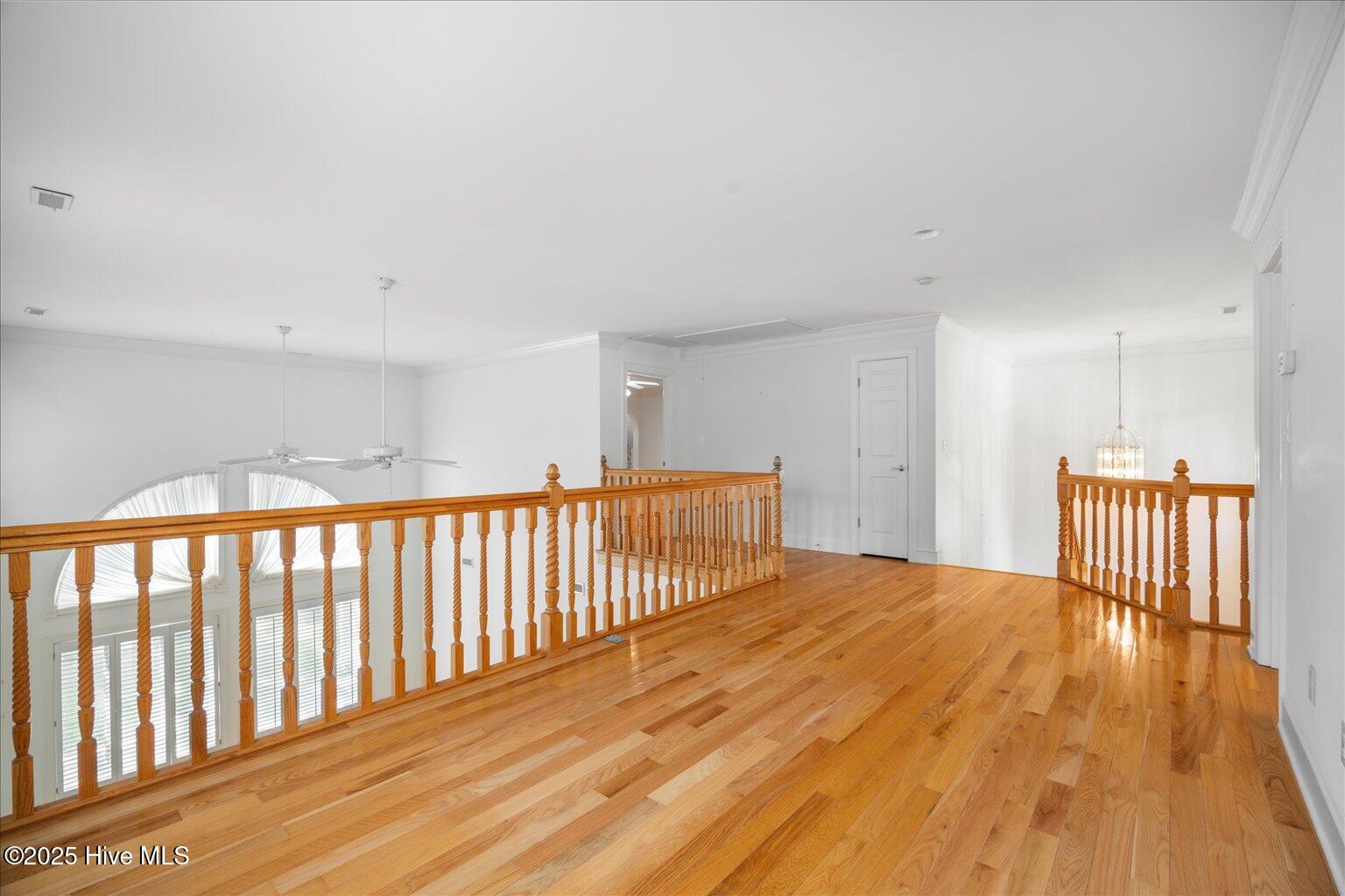 100527258 | Photo 36