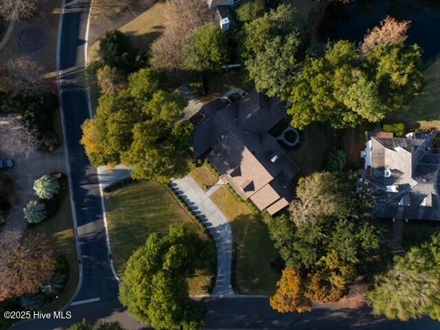 100541341 | Photo 88