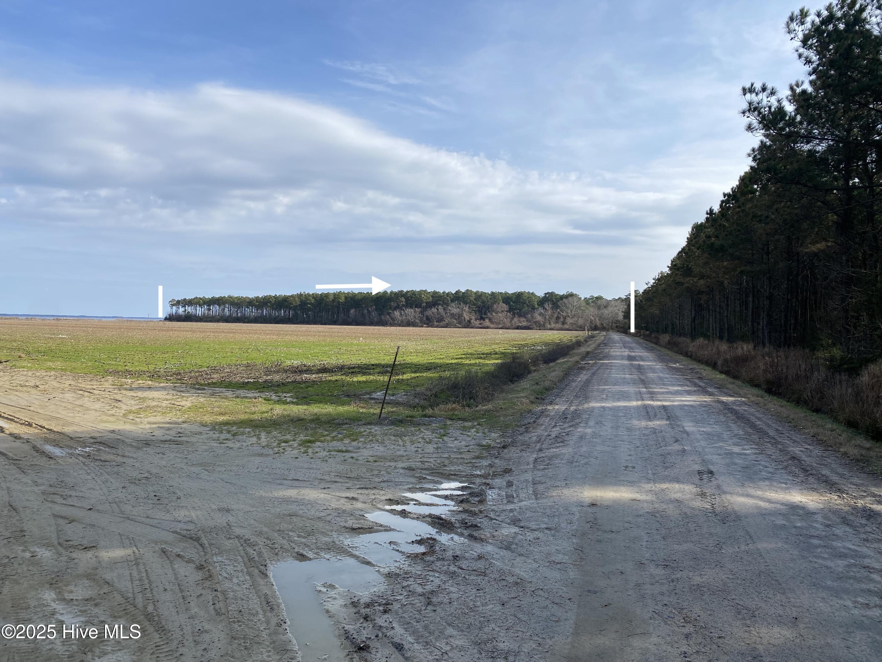 00000 Wades Point Rd, Elizabeth City, North Carolina, 0 ,Undeveloped,For sale,Wades Point Rd,100513834