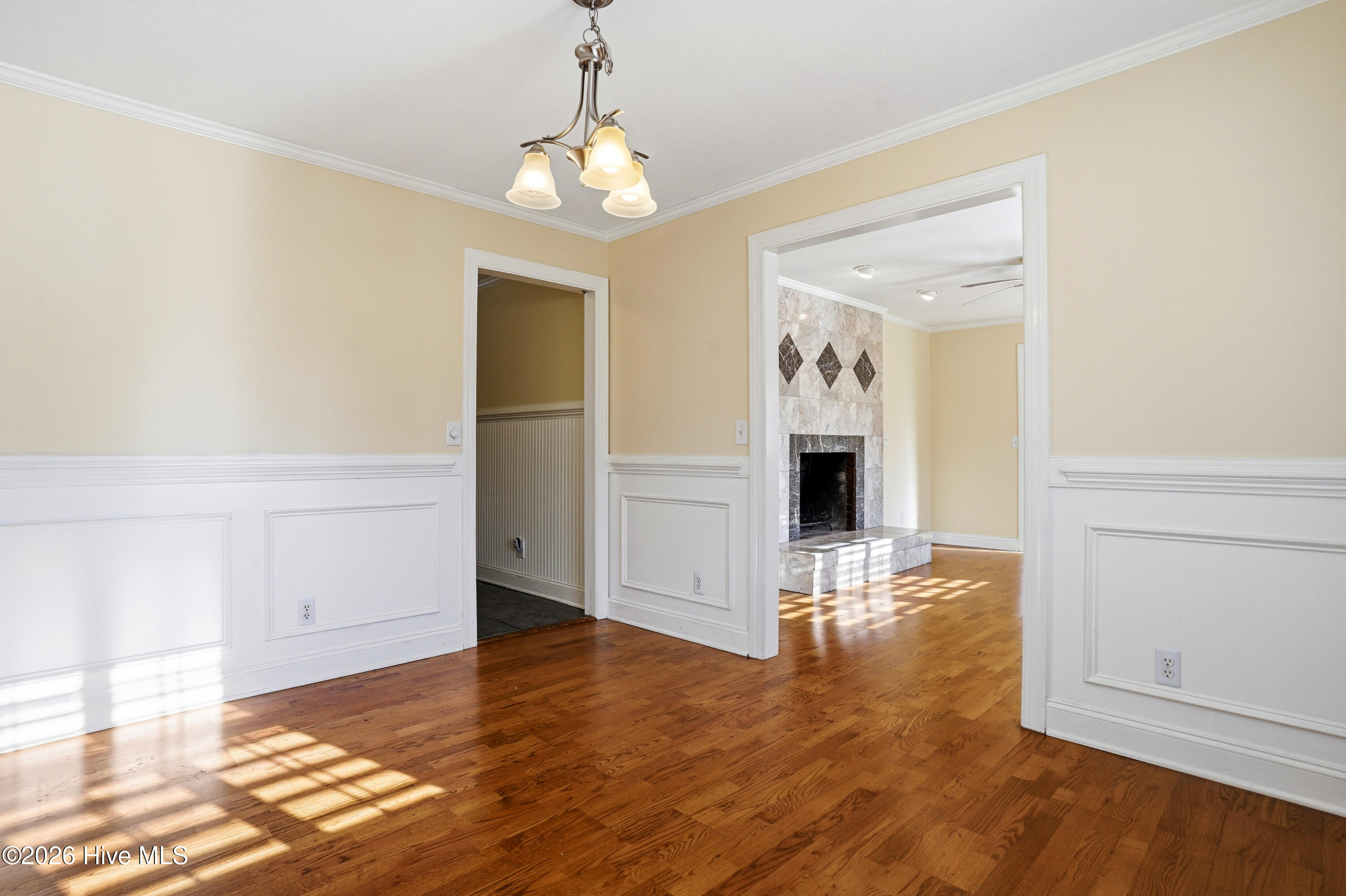 100567003 | Photo 14