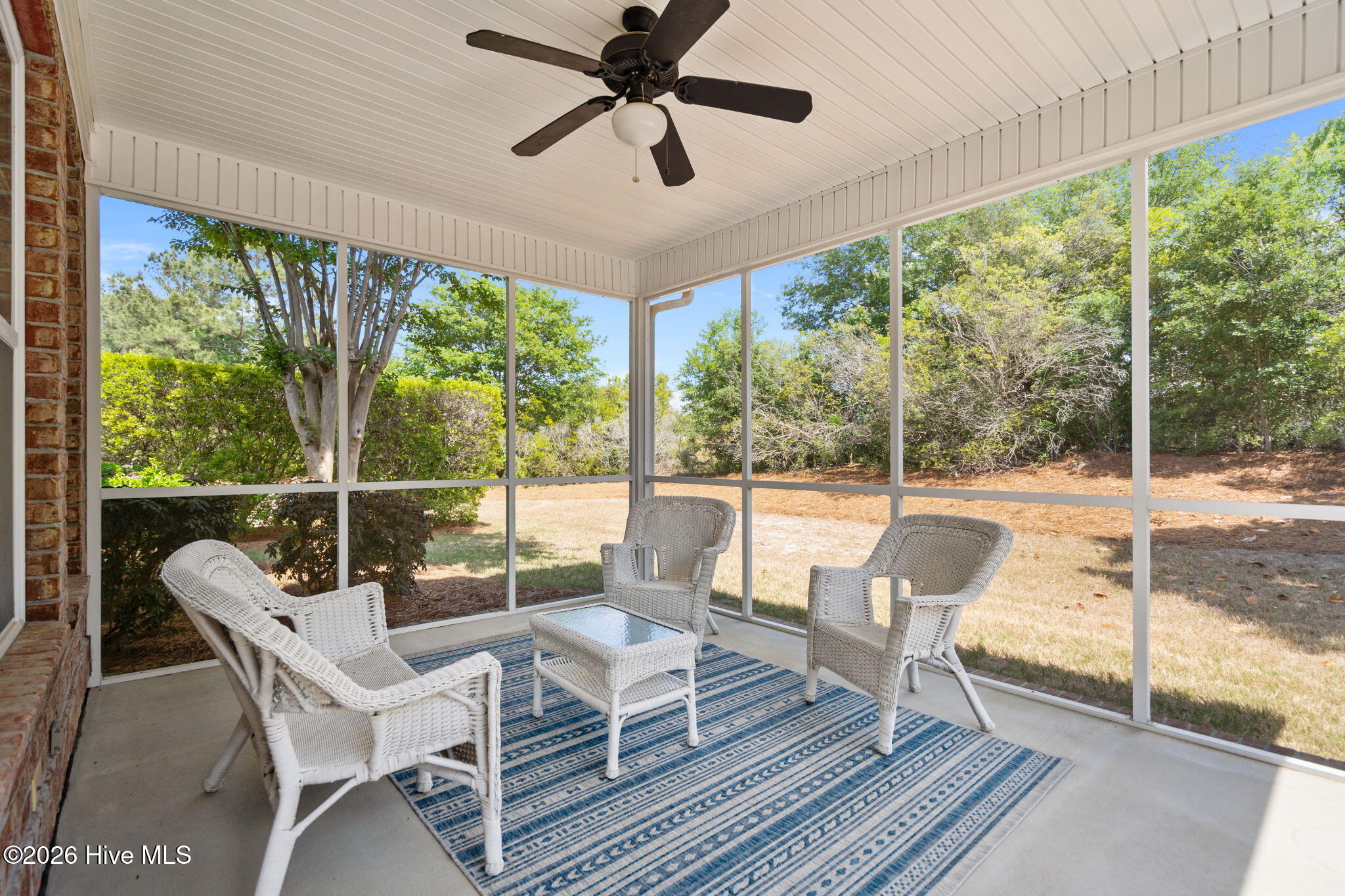 100568496 | Photo 21