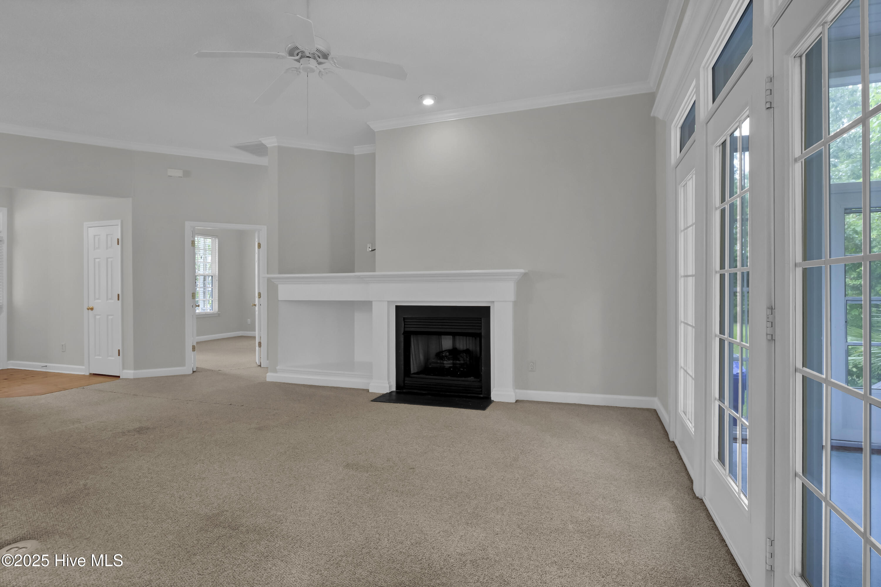 100510157 | Photo 16