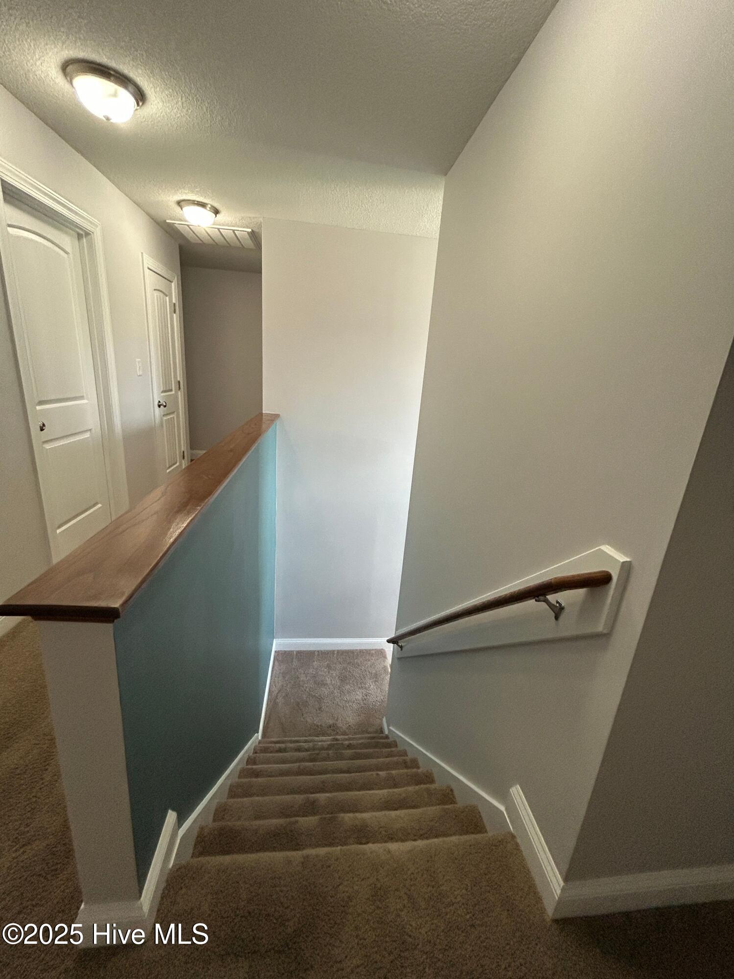 100528484 | Photo 48