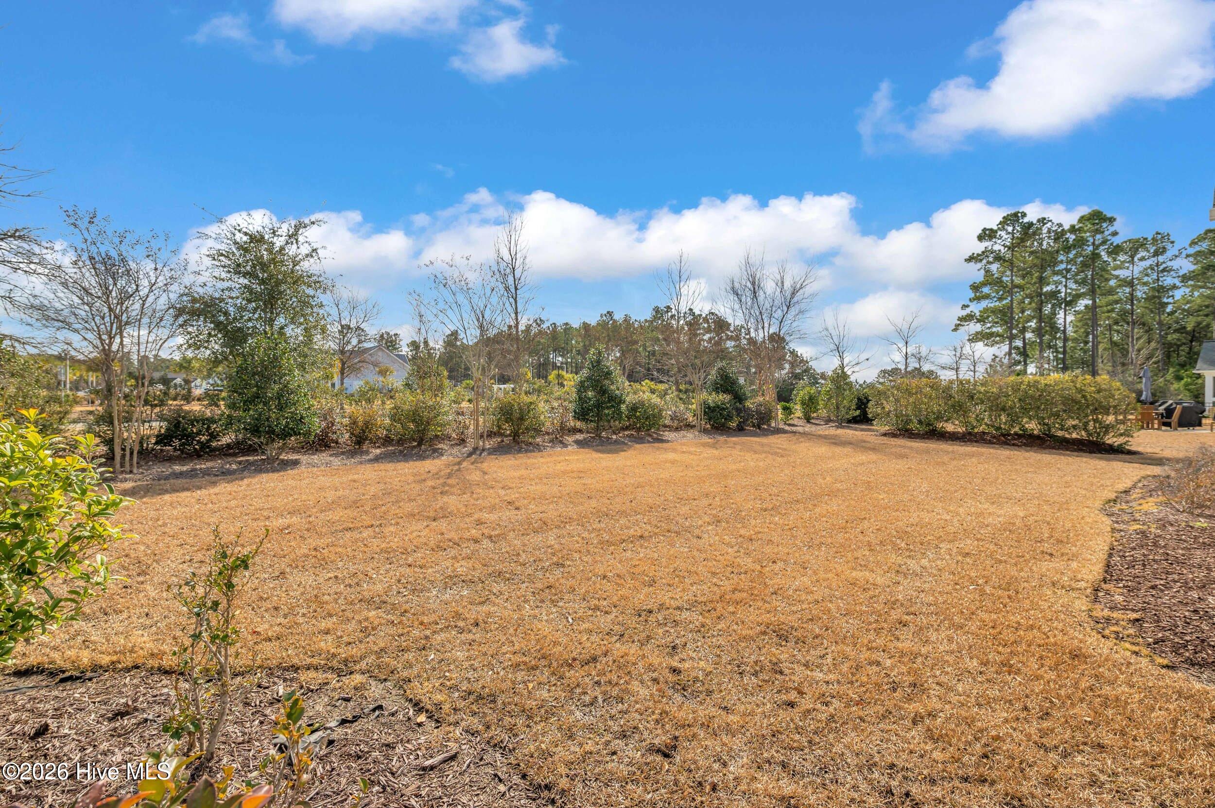 100550719 | Photo 48