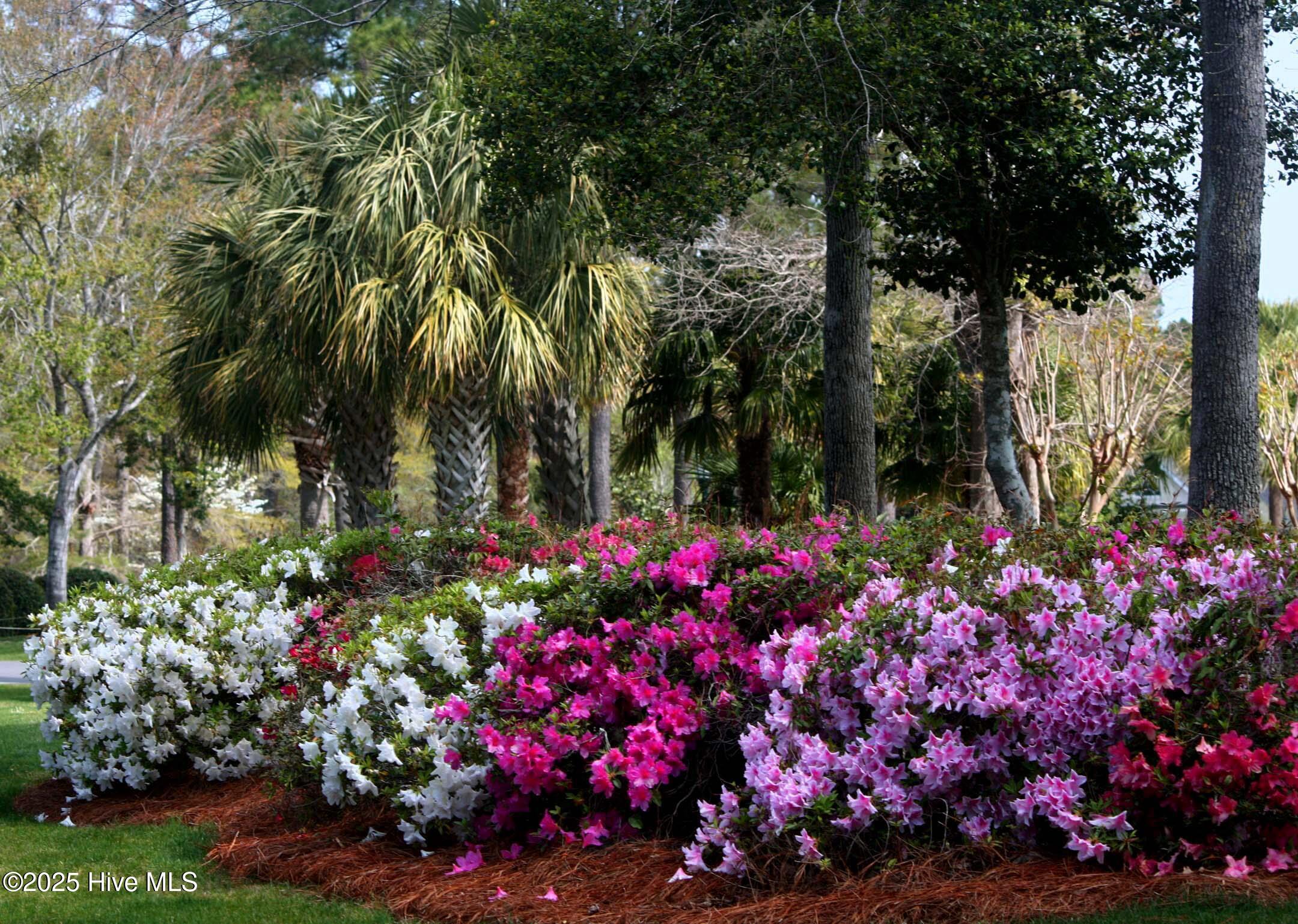 100533774 | Photo 21