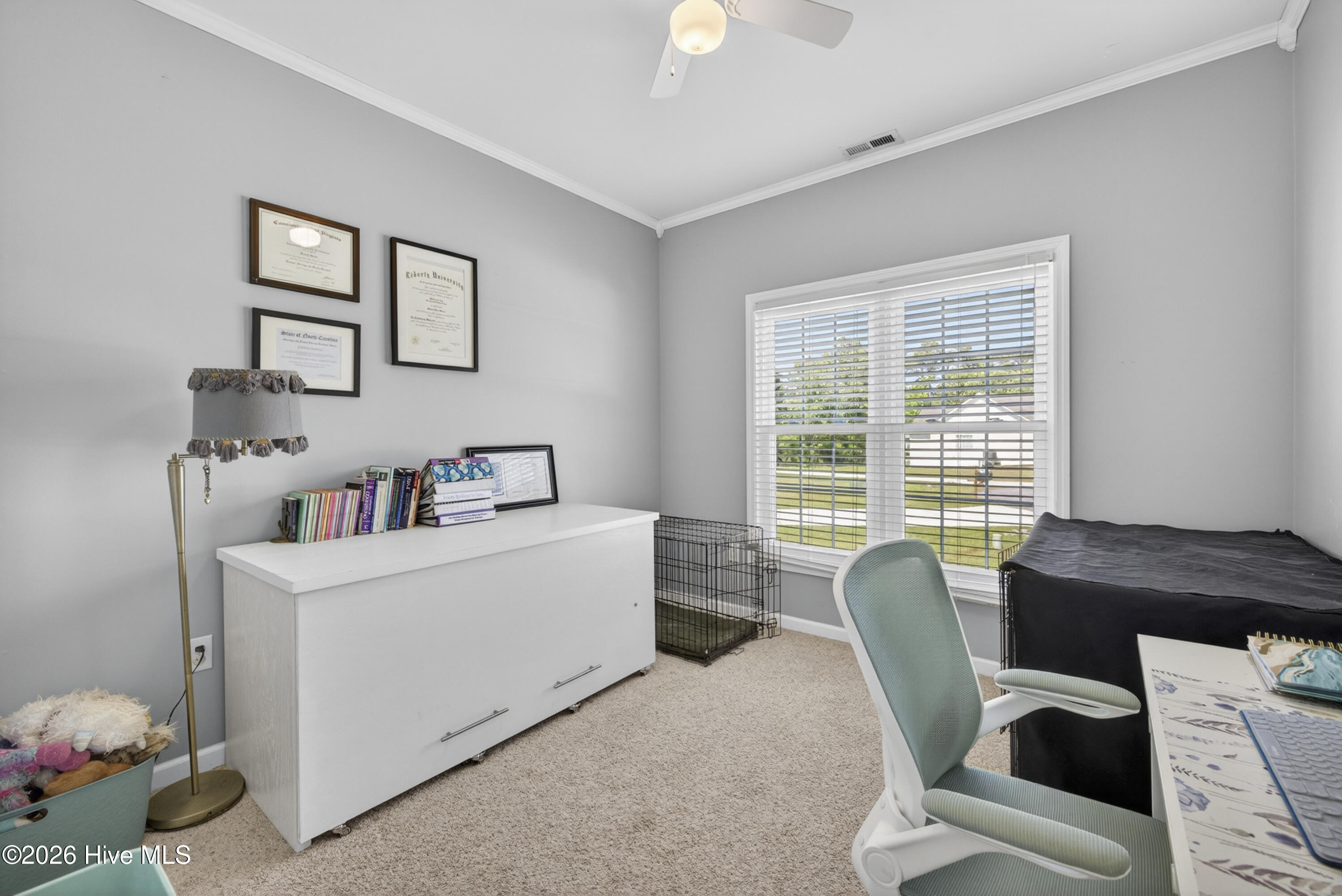 100570330 | Photo 37