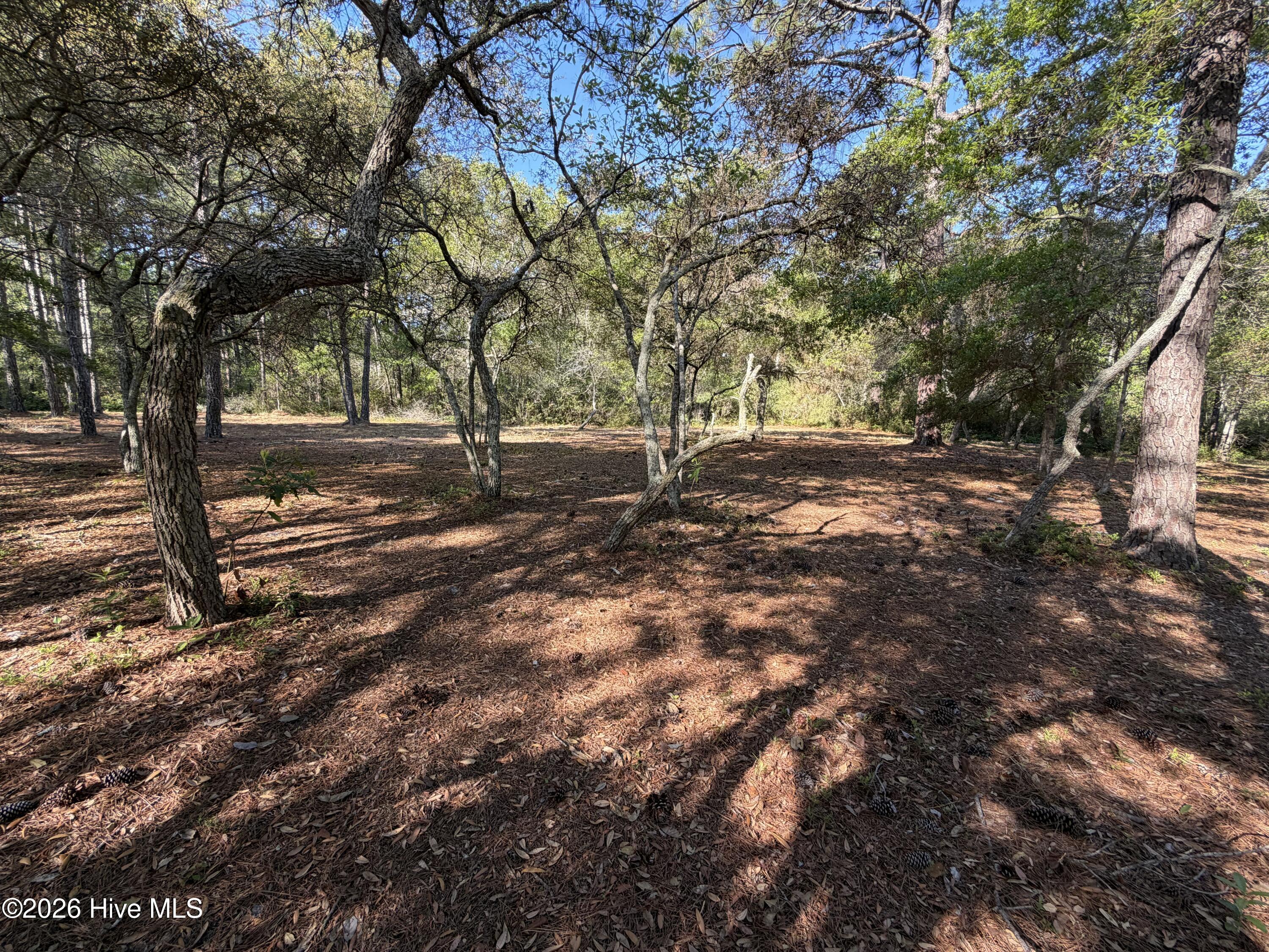 100569974 | Photo 10