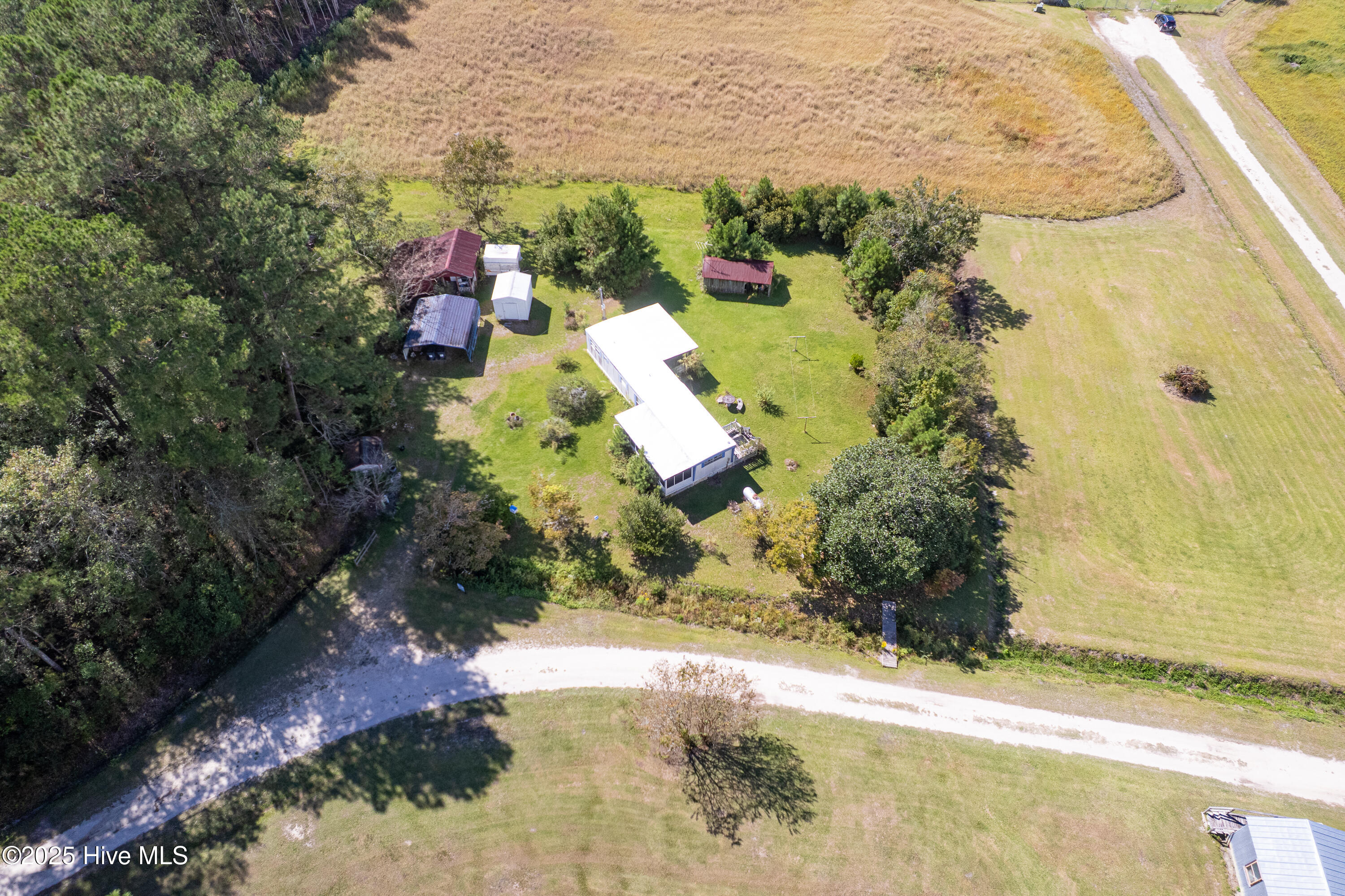 100534440 | Photo 13