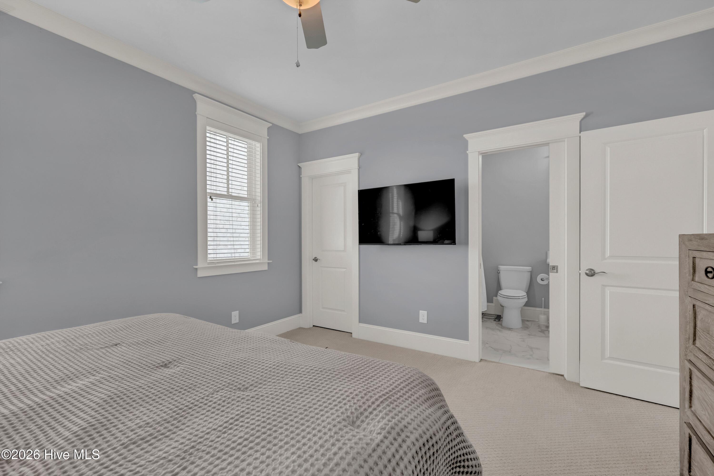 100549123 | Photo 22