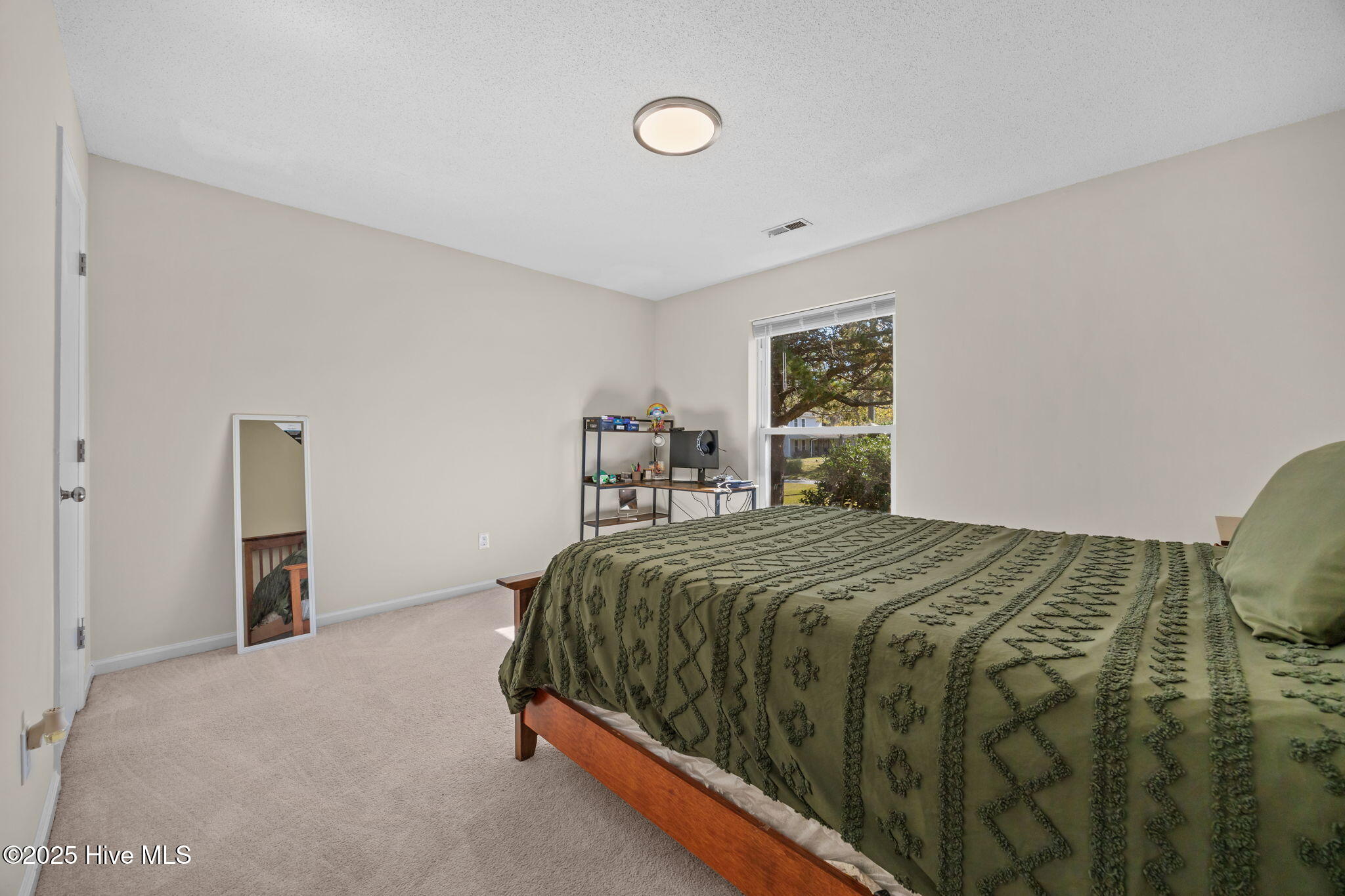 100515251 | Photo 13