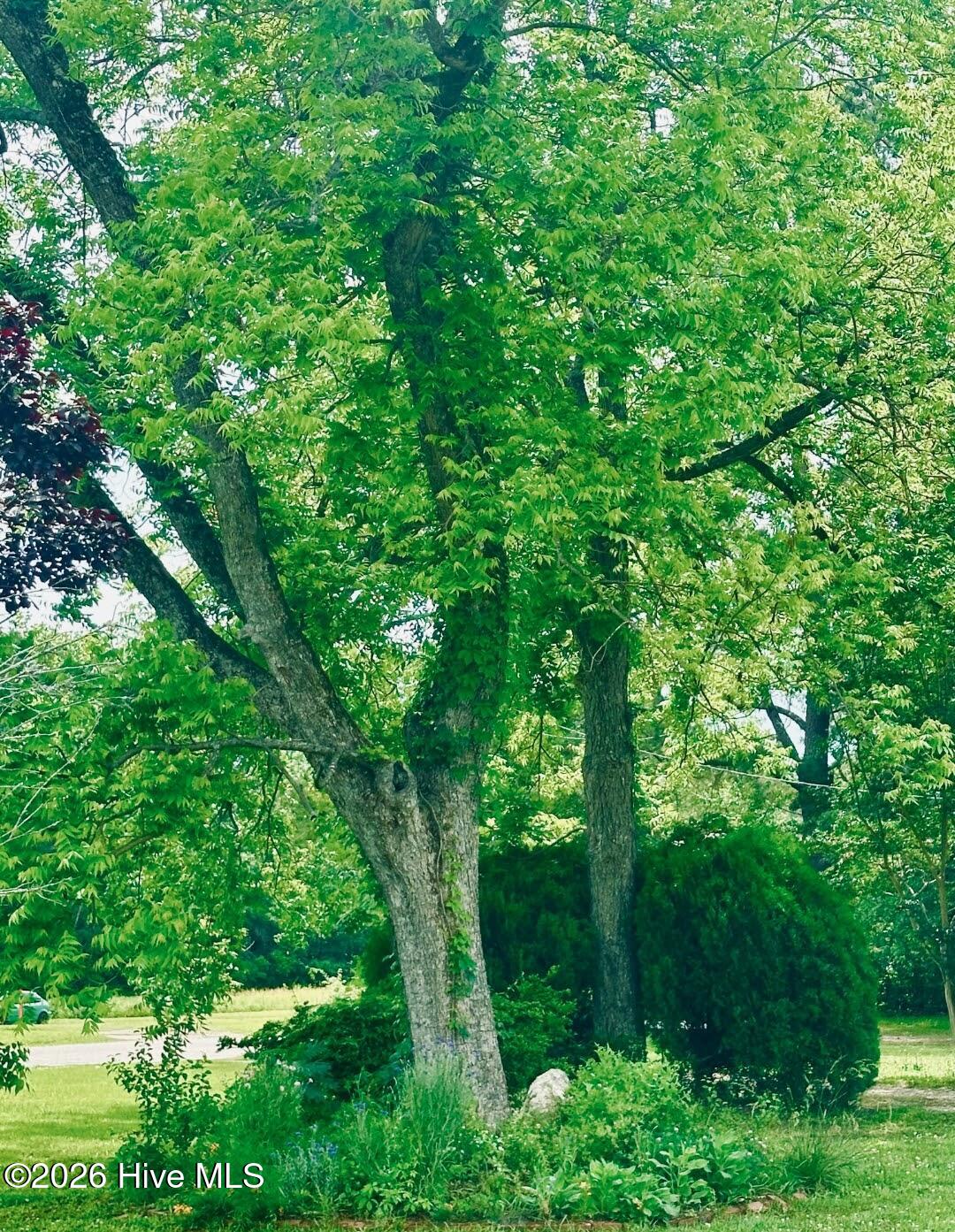 100550417 | Photo 40