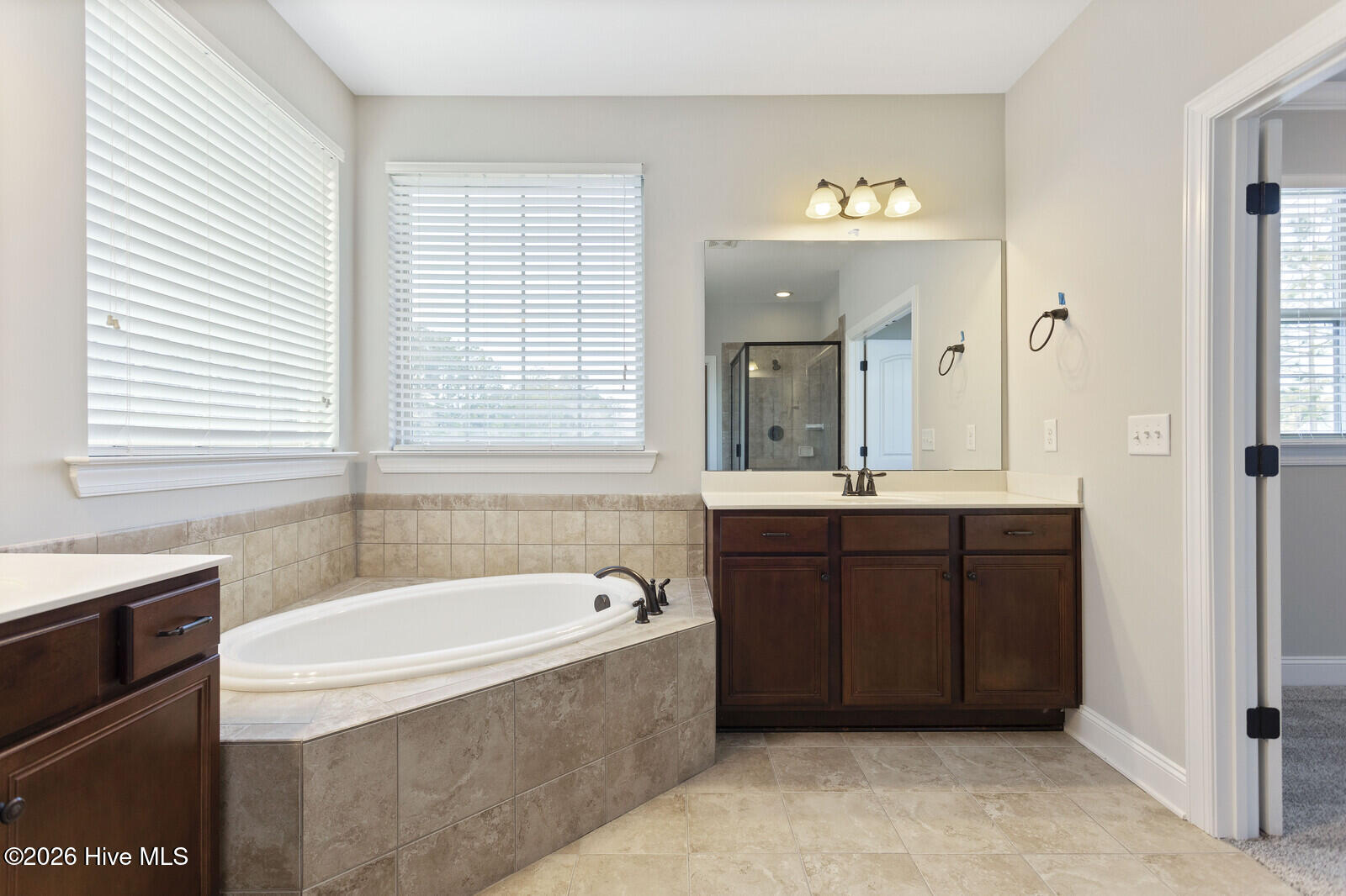 100558633 | Photo 24