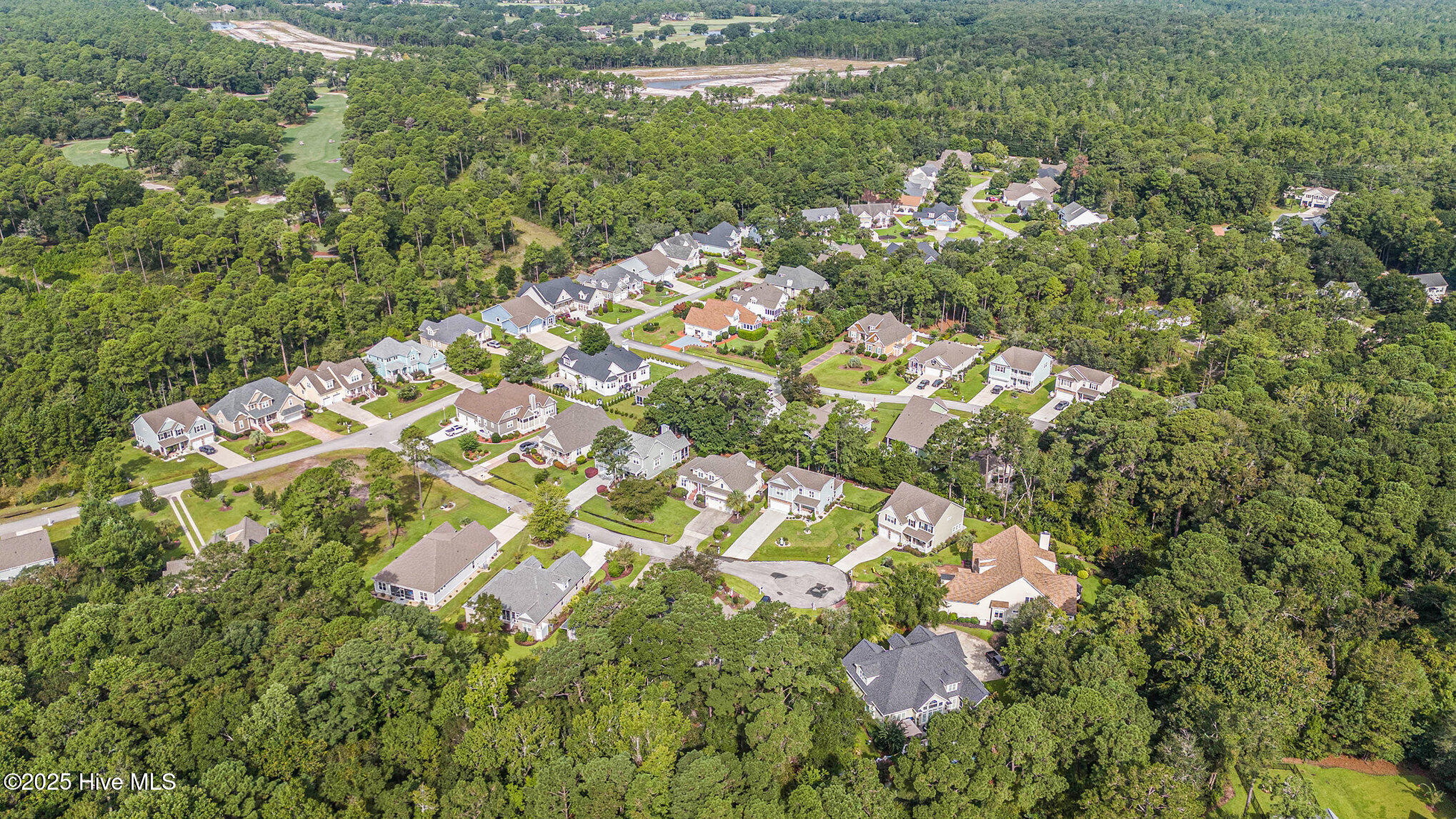 100528380 | Photo 23