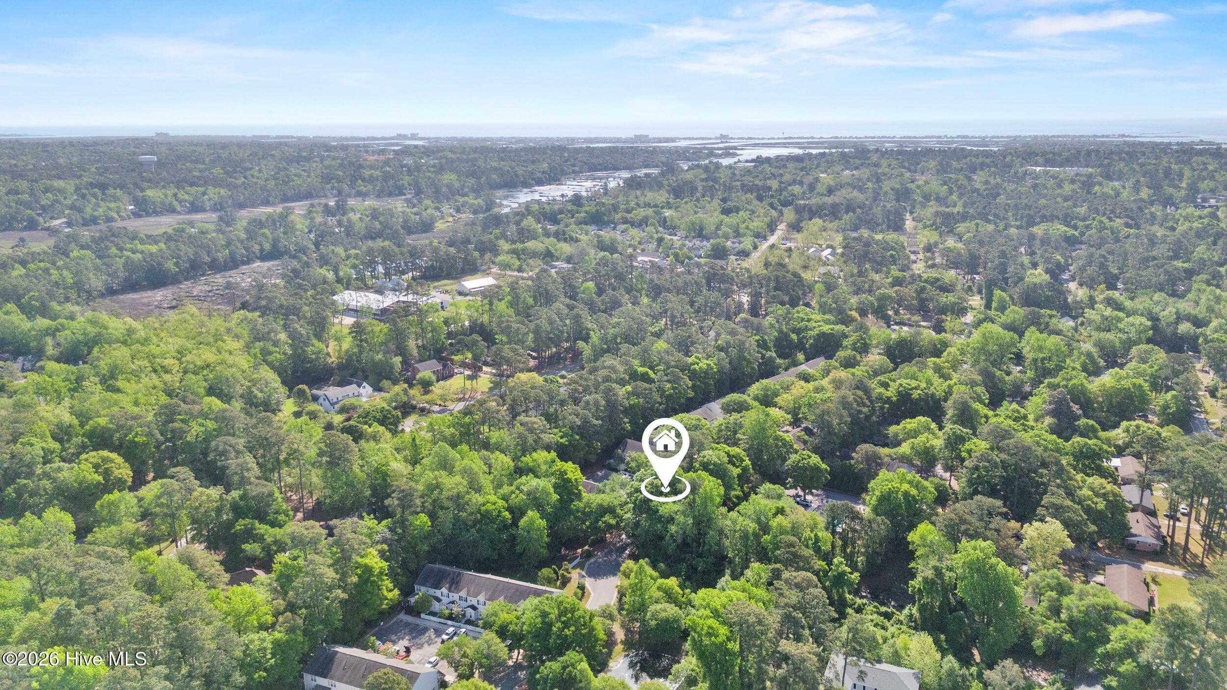 100567438 | Photo 28