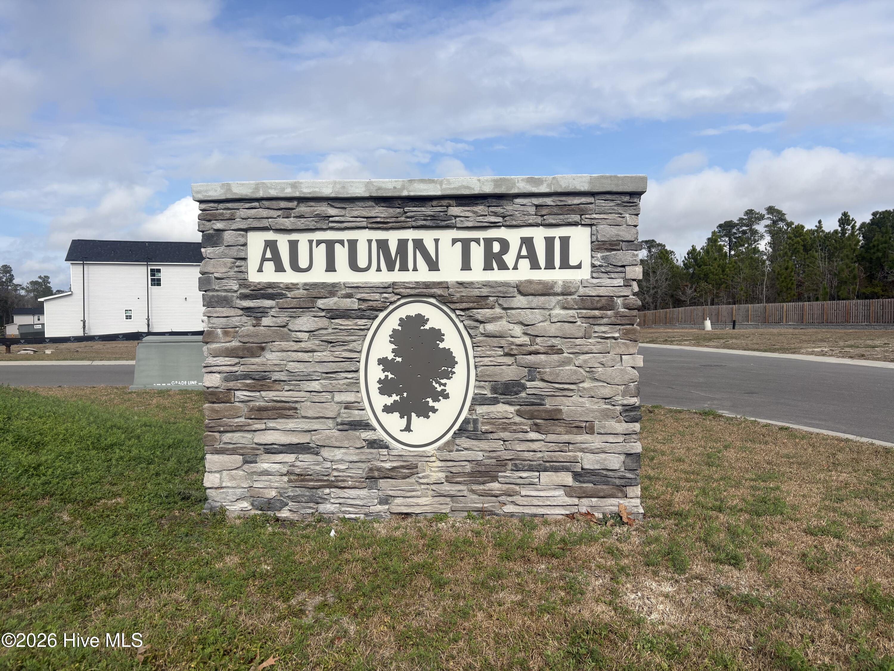 100546483 | Photo 24