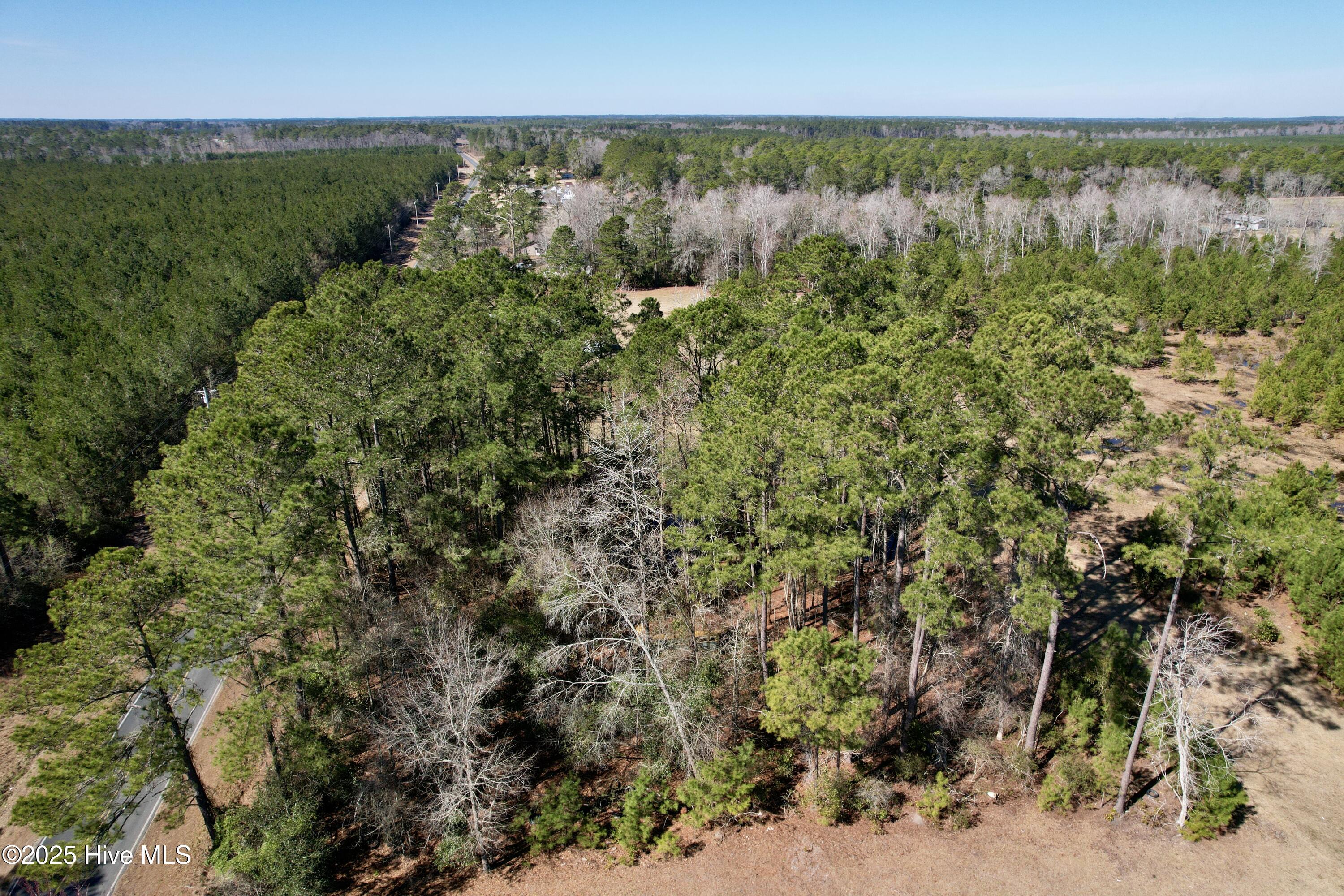 100490813 | Photo 12