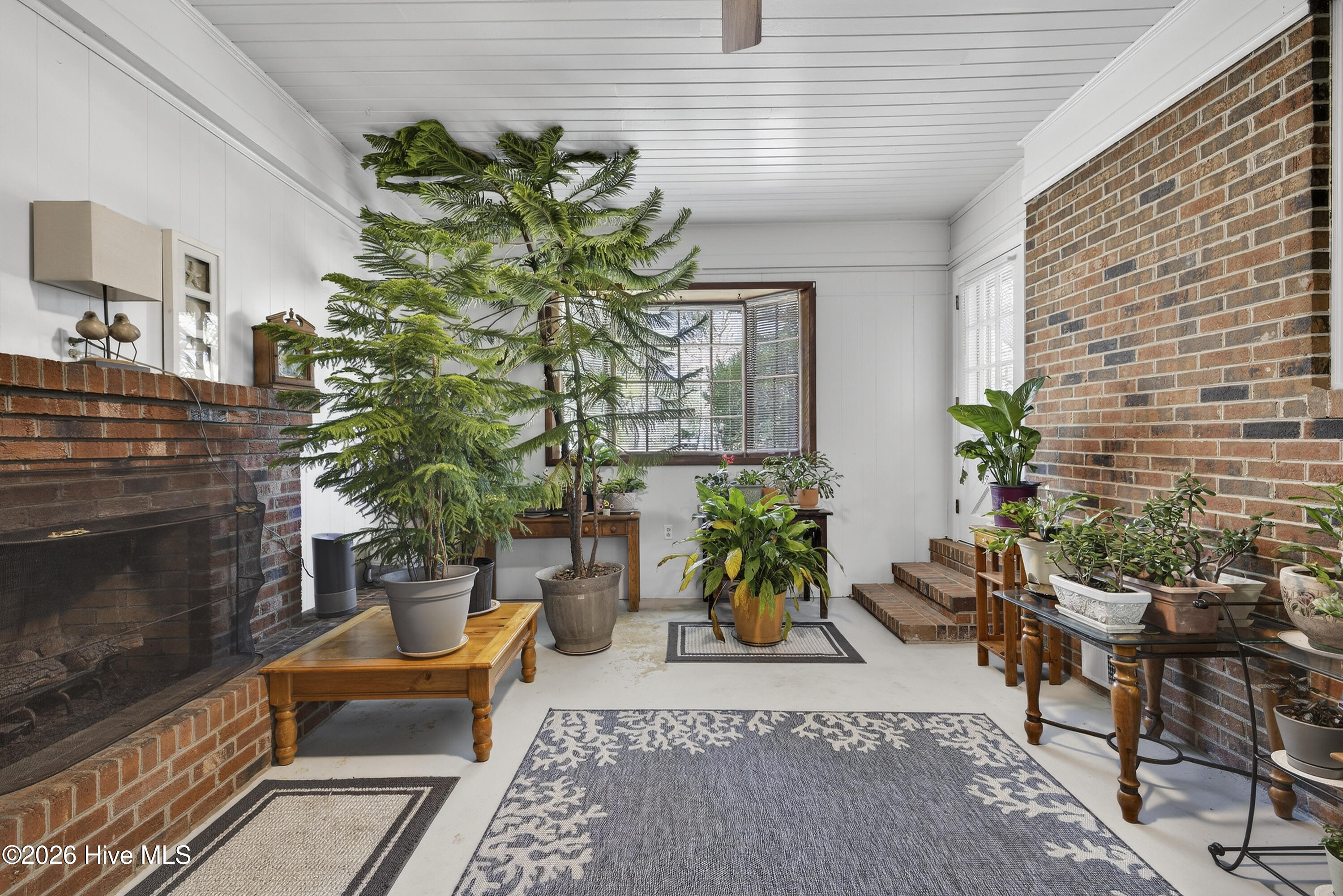 100556651 | Photo 26