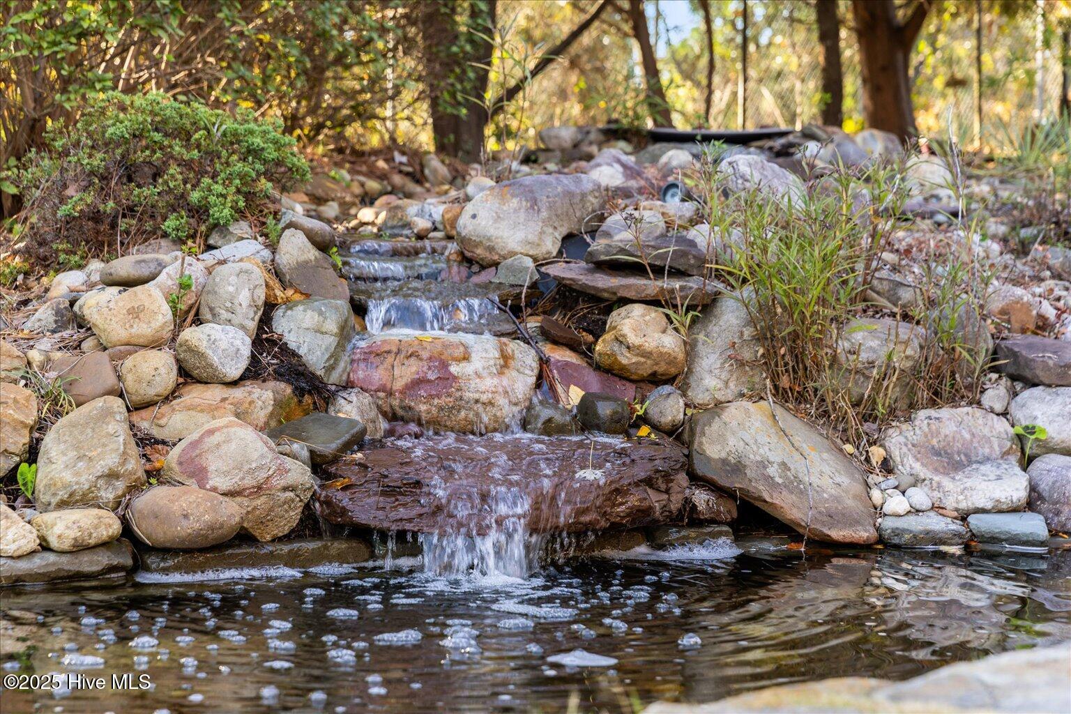 100539645 | Photo 56