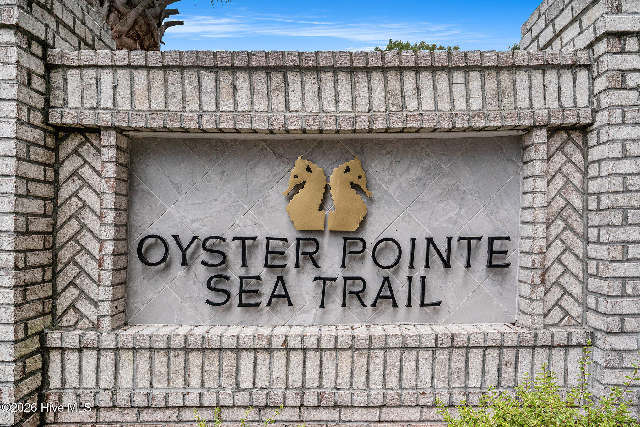 100559918 | Photo 27