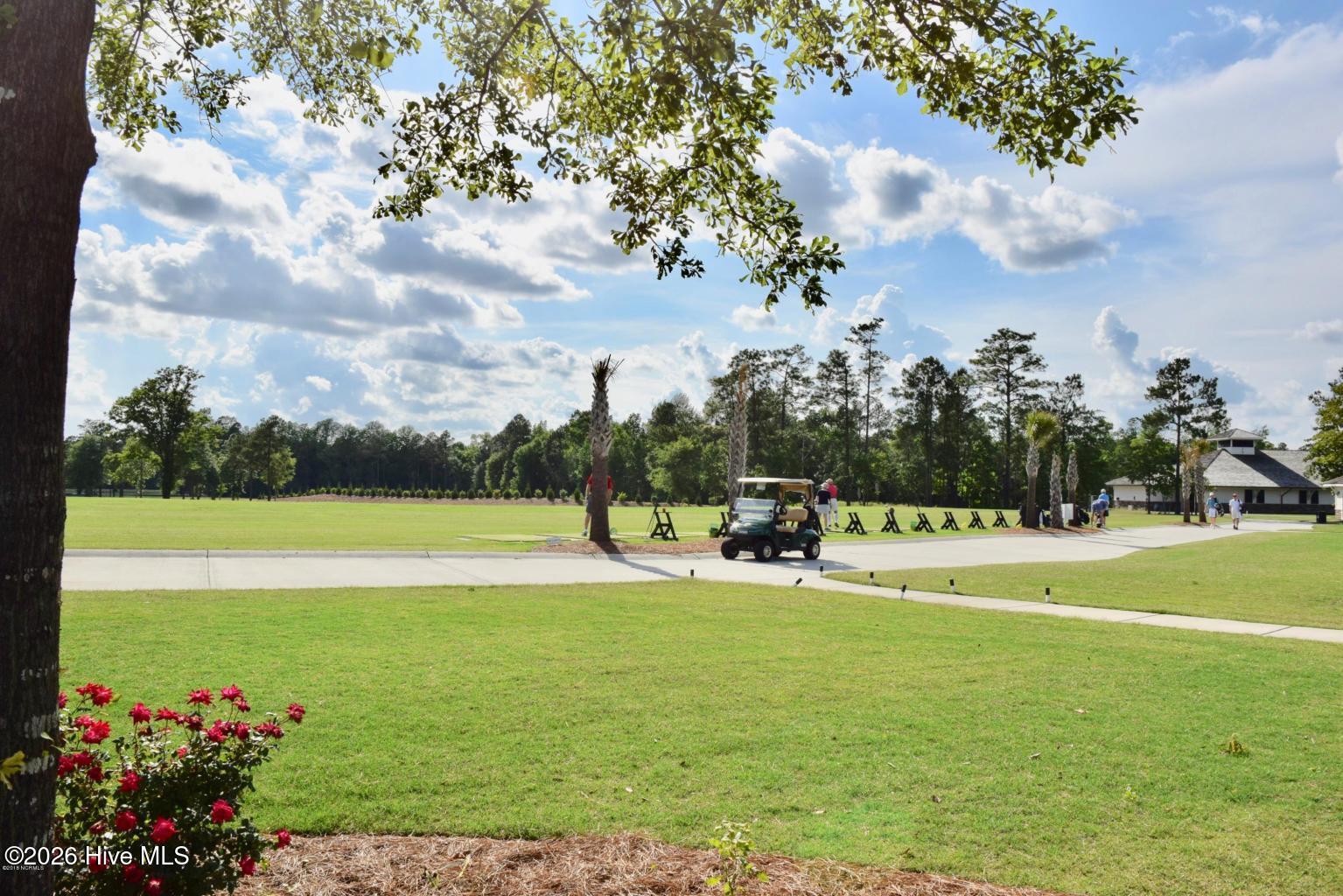 100558232 | Photo 88