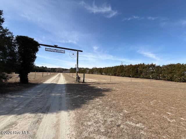 100552157 | Photo 39