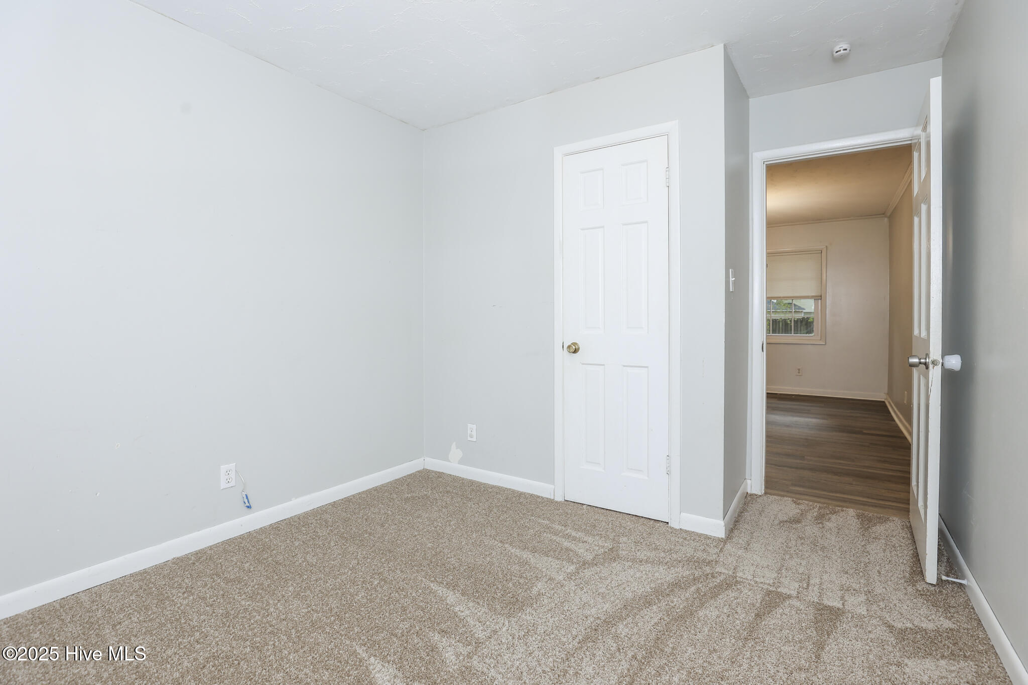 100546143 | Photo 19