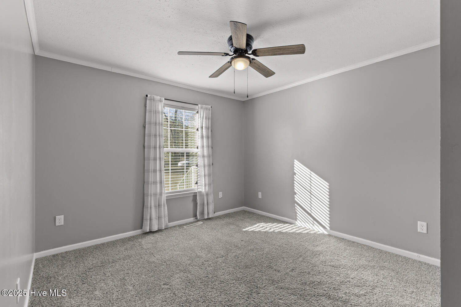 100545745 | Photo 27