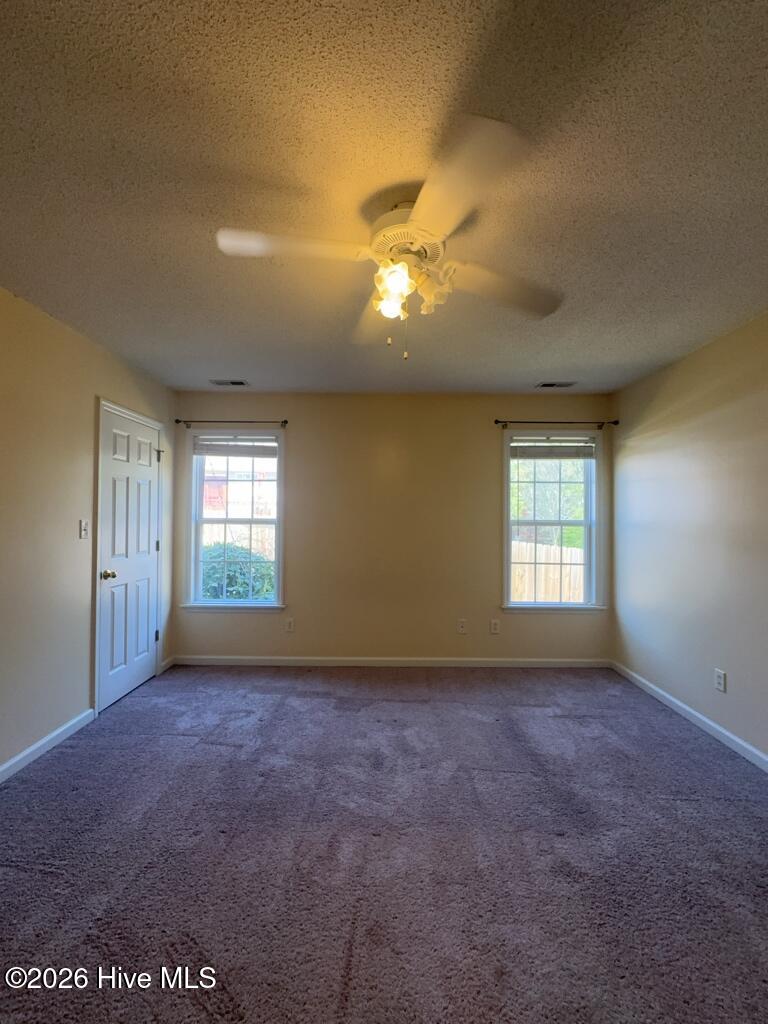 100563532 | Photo 13