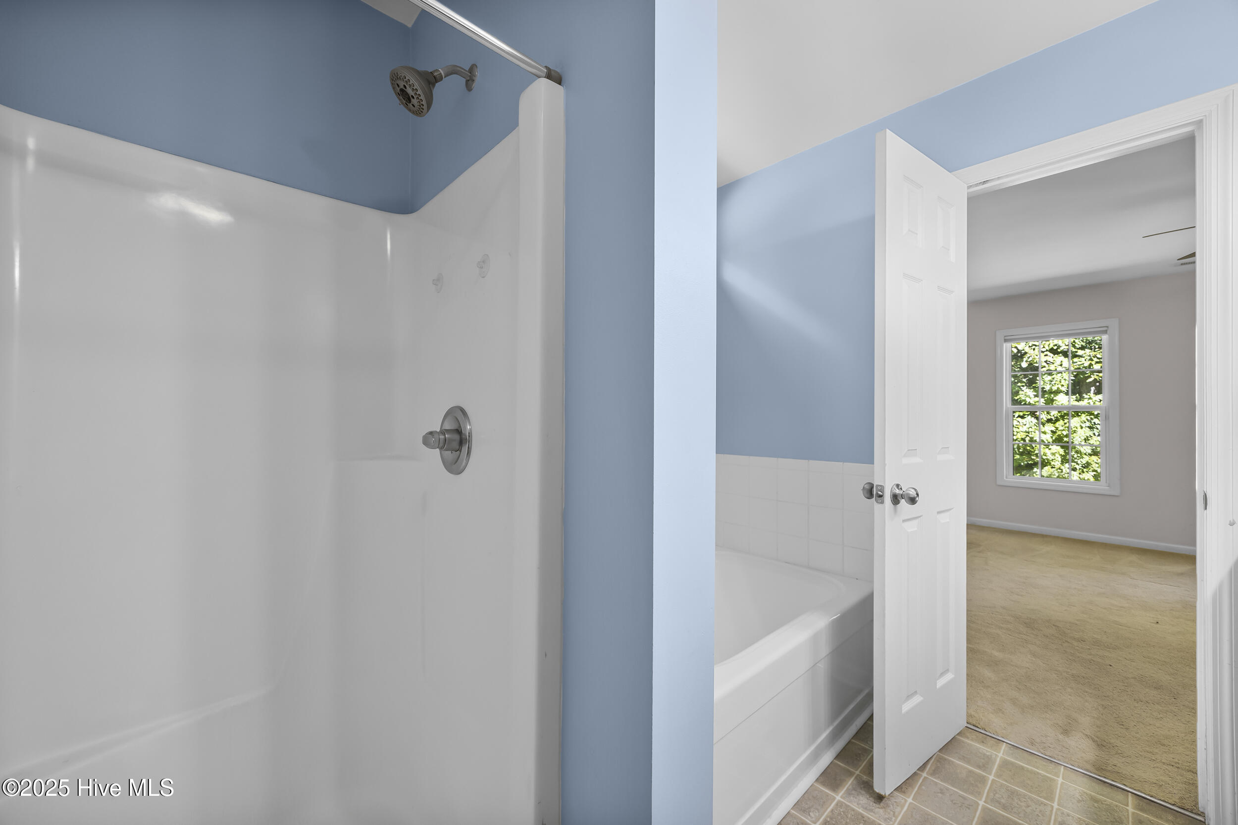 100533405 | Photo 33