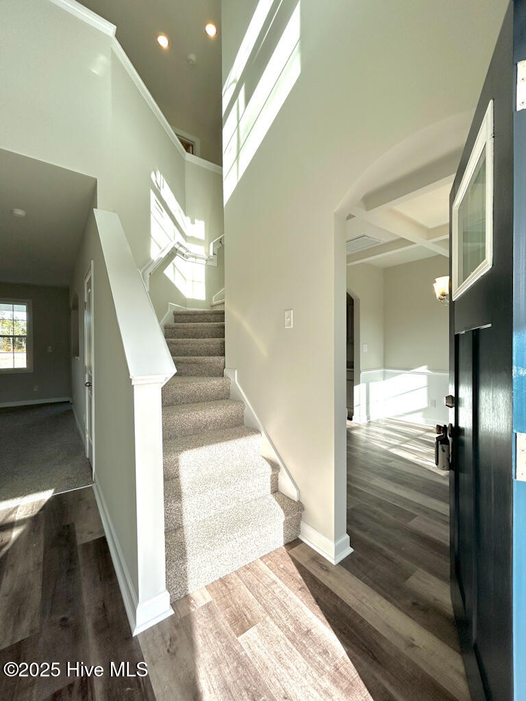 100522198 | Photo 11